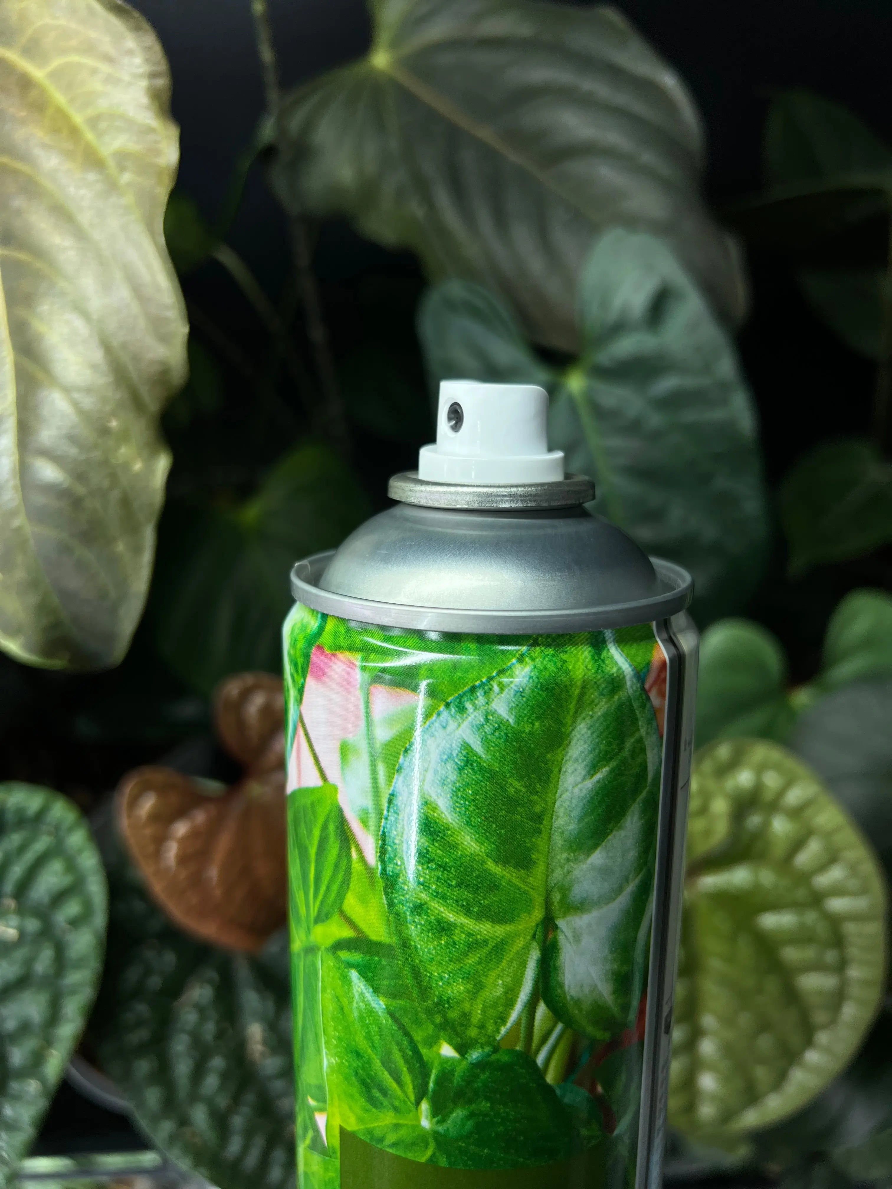 Pokon Leaf Shine - 600 ml - SMUKHI