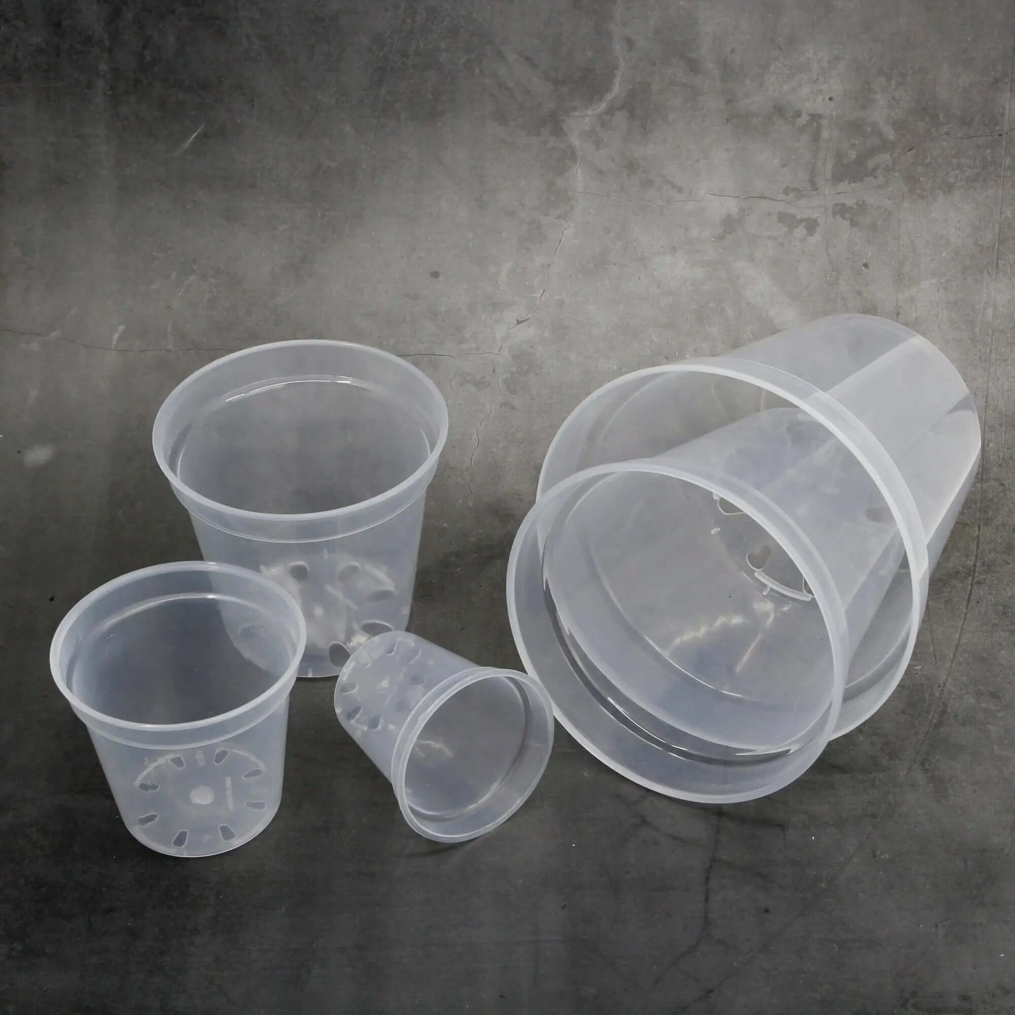 Plastic Plant Pots - Transparent - Round - SMUKHI