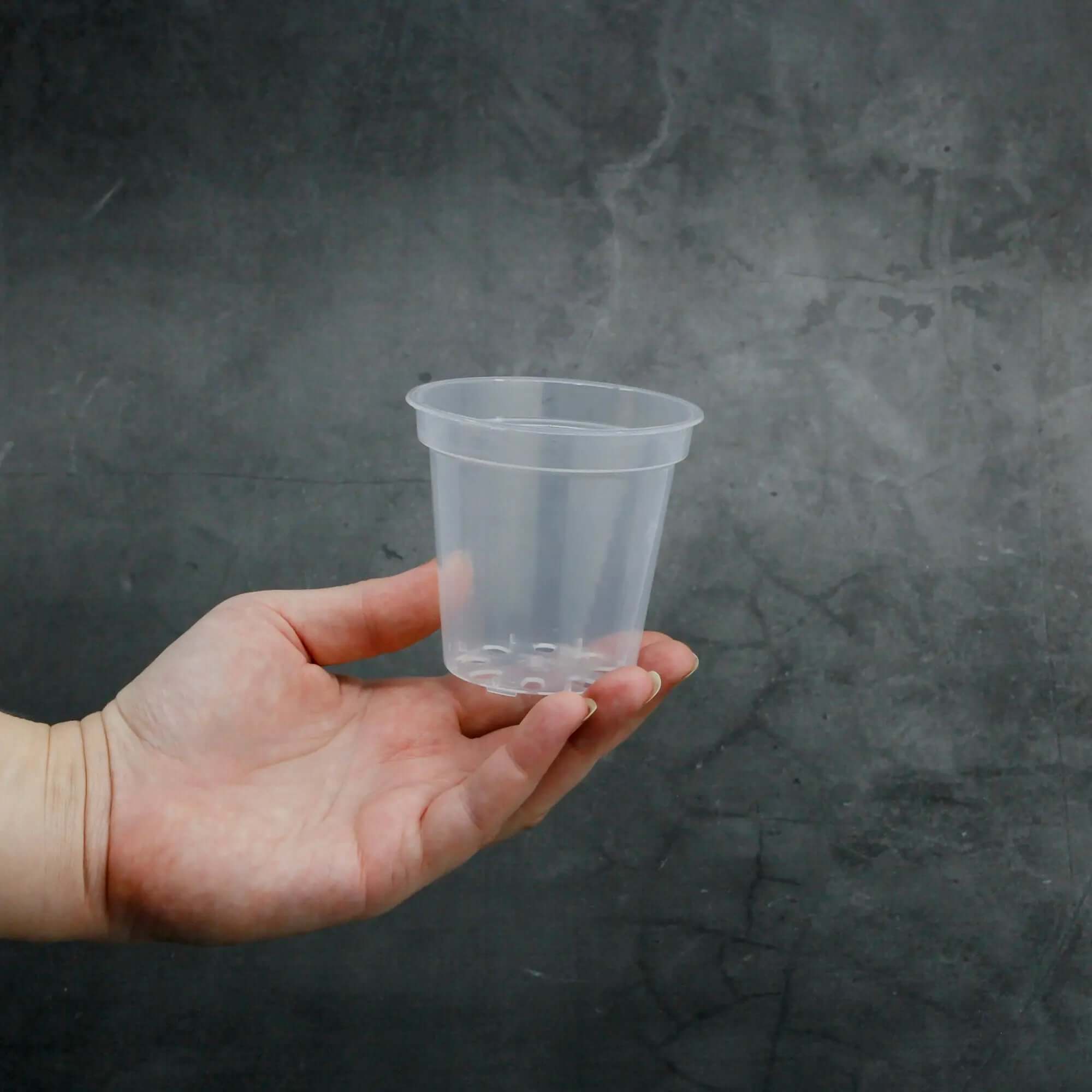 Plastic Plant Pots - Transparent - Round - SMUKHI