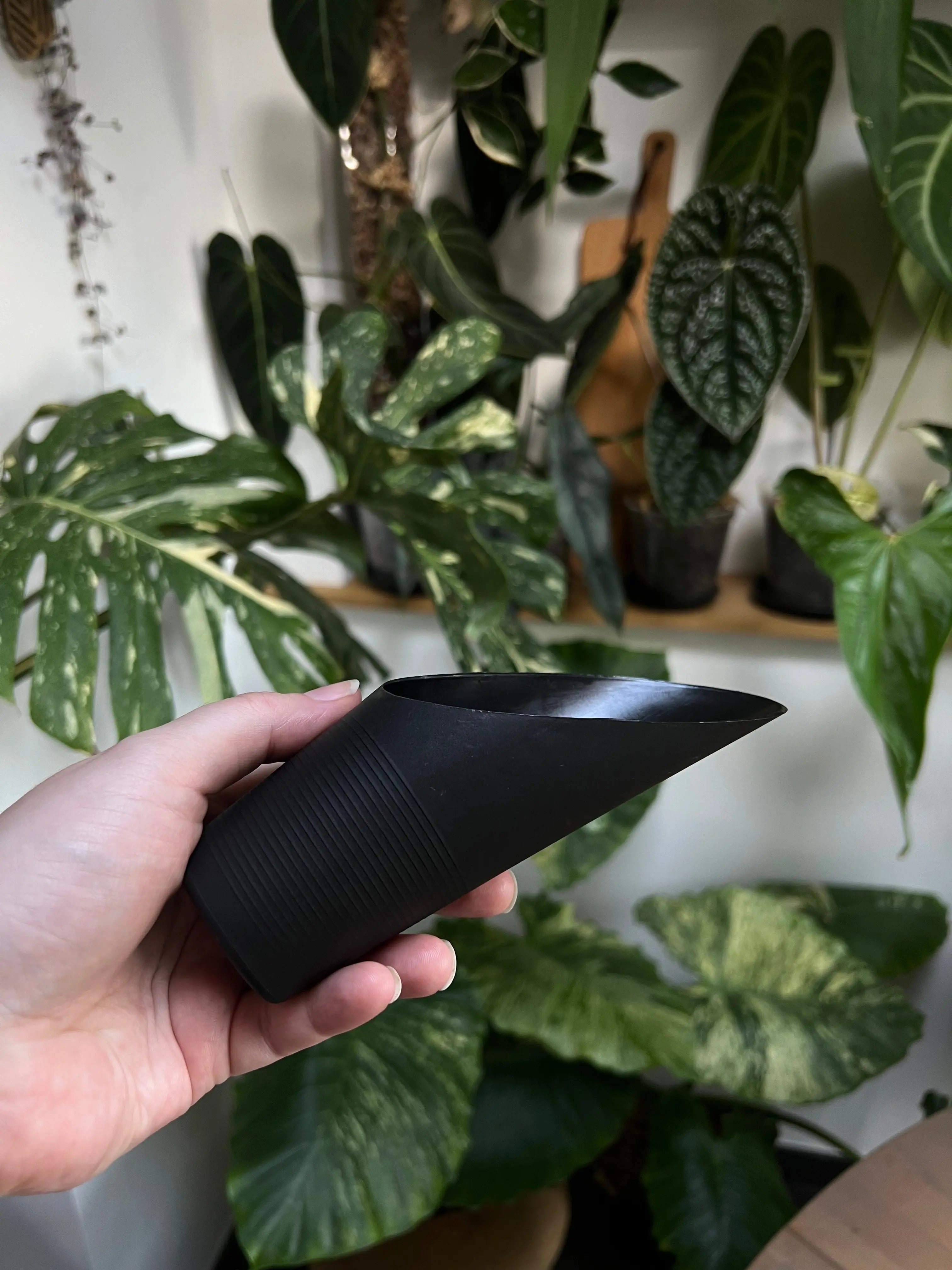 Substrate Scoop - SMUKHI