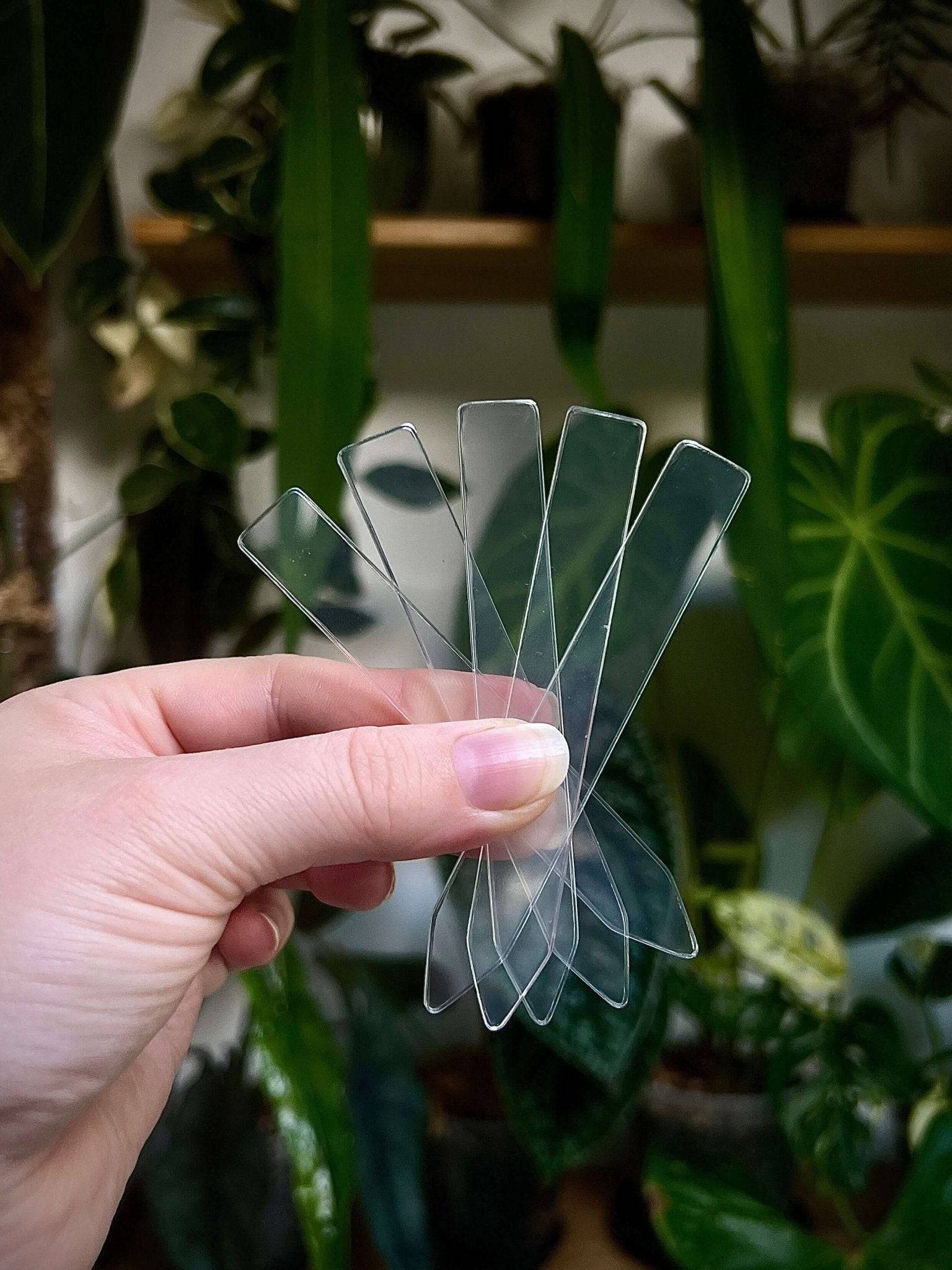 Acrylic Plant Tags (Small) - SMUKHI