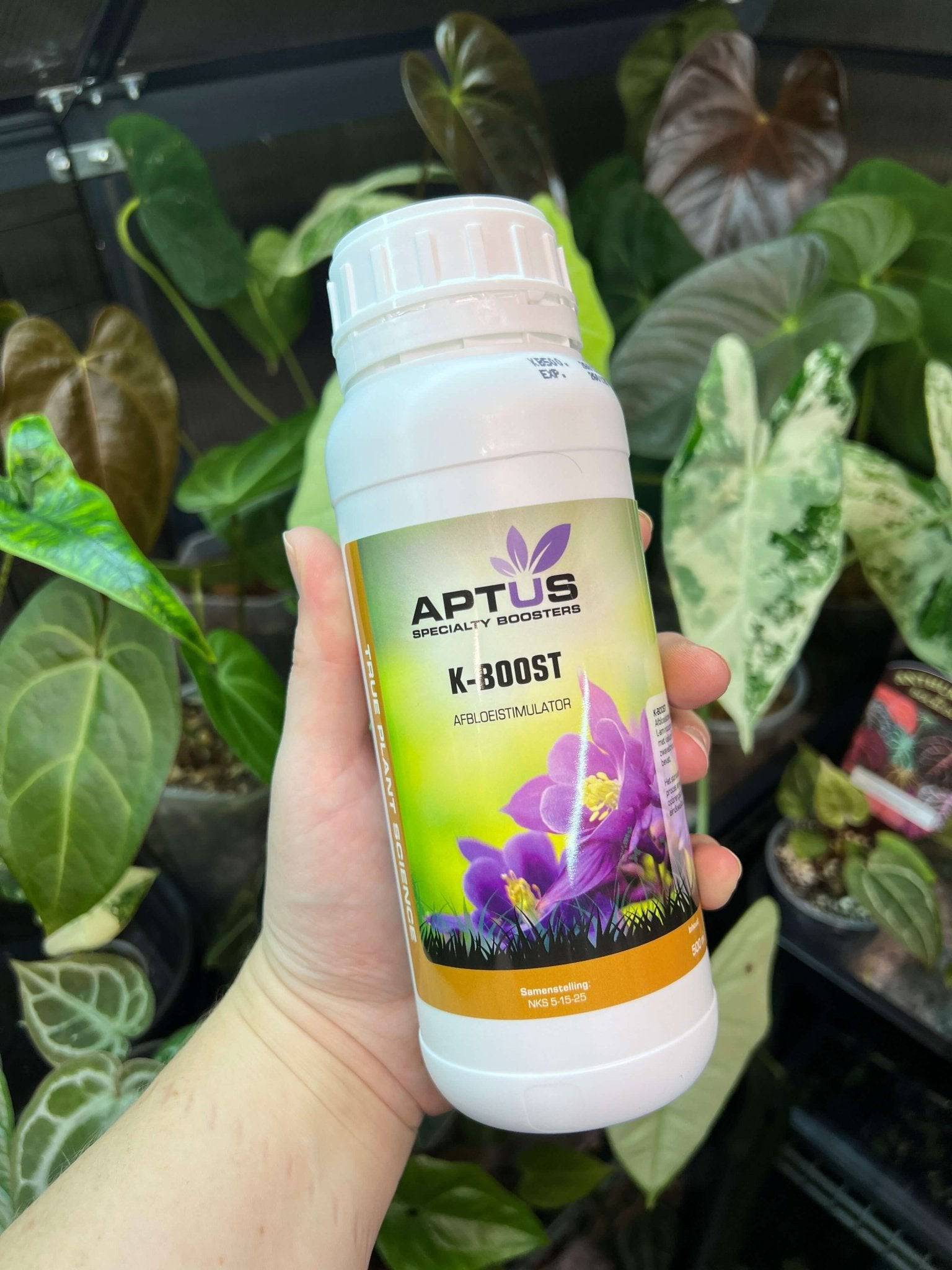 Aptus K - Boost - SMUKHI