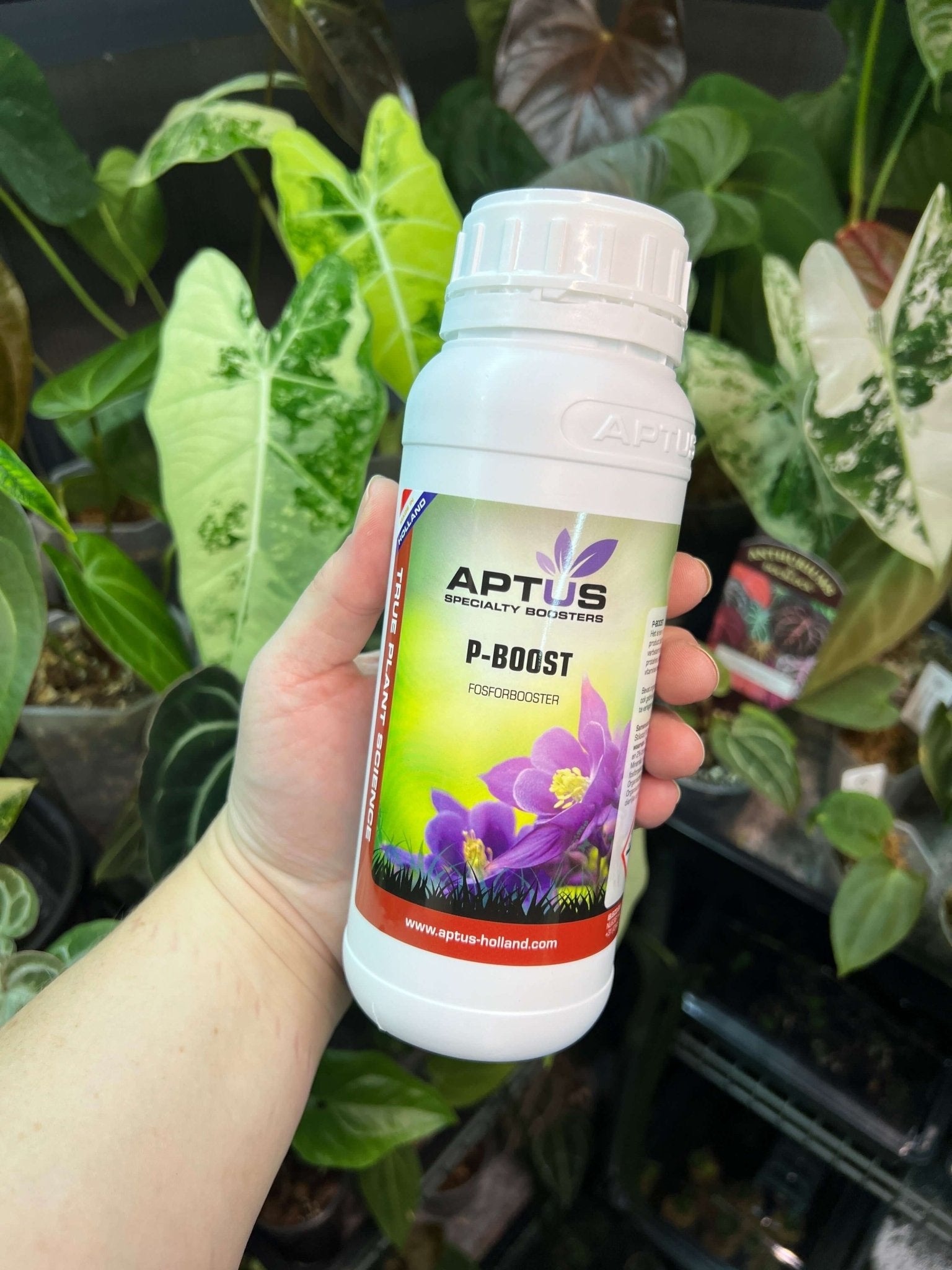 Aptus P - Boost - SMUKHI