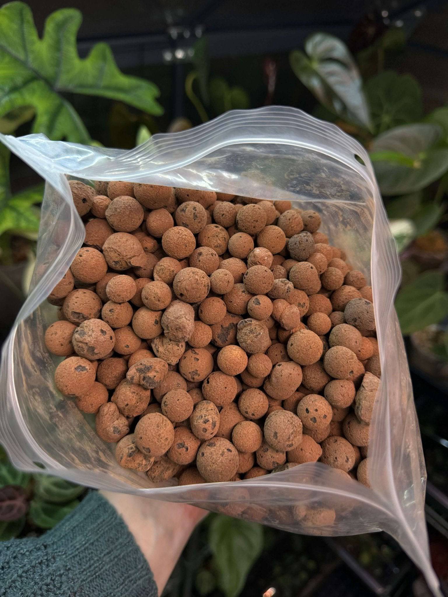 Clay Pebbles