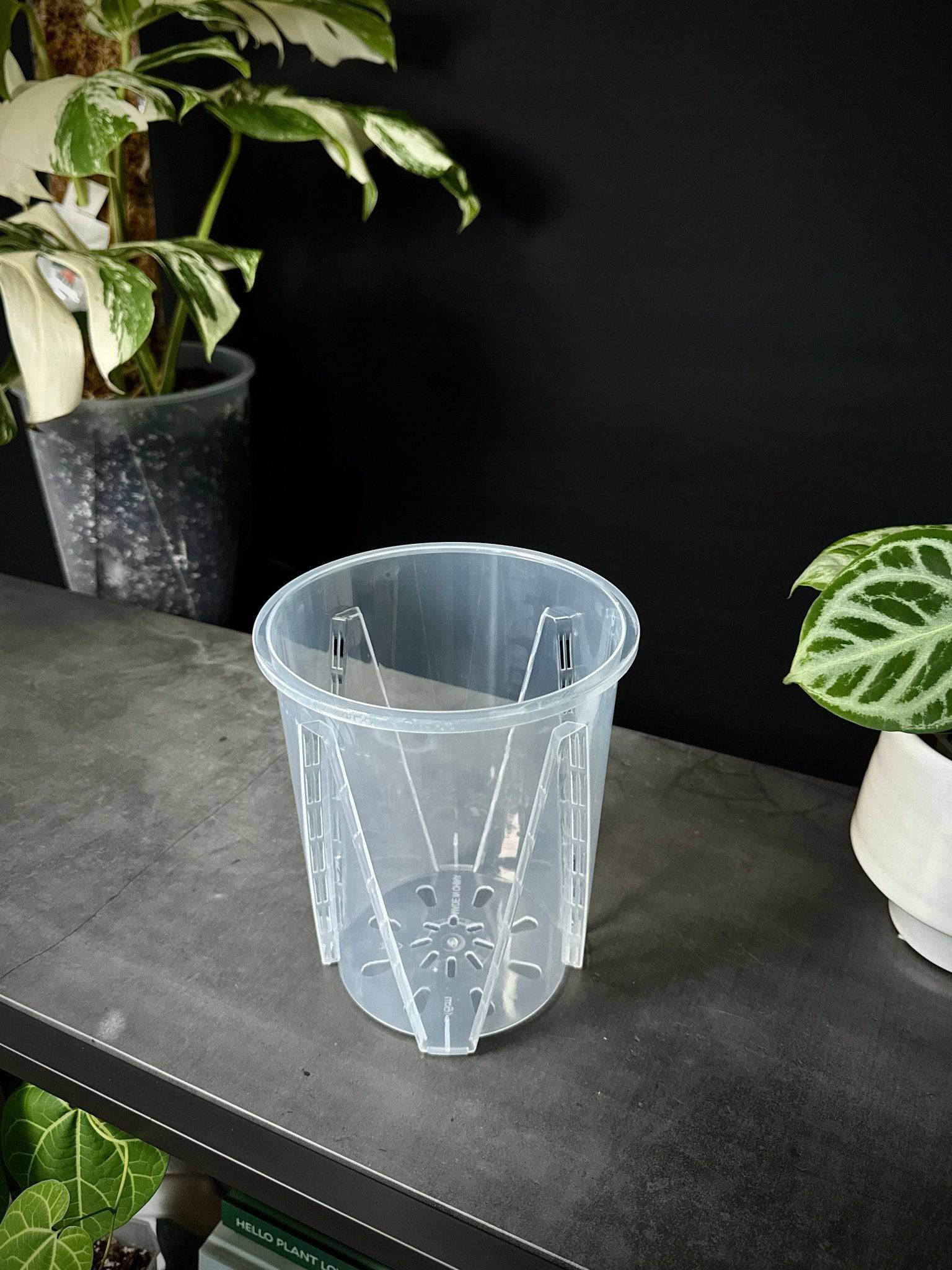 Clear Anti - Spiral Aroid Pots - SMUKHI