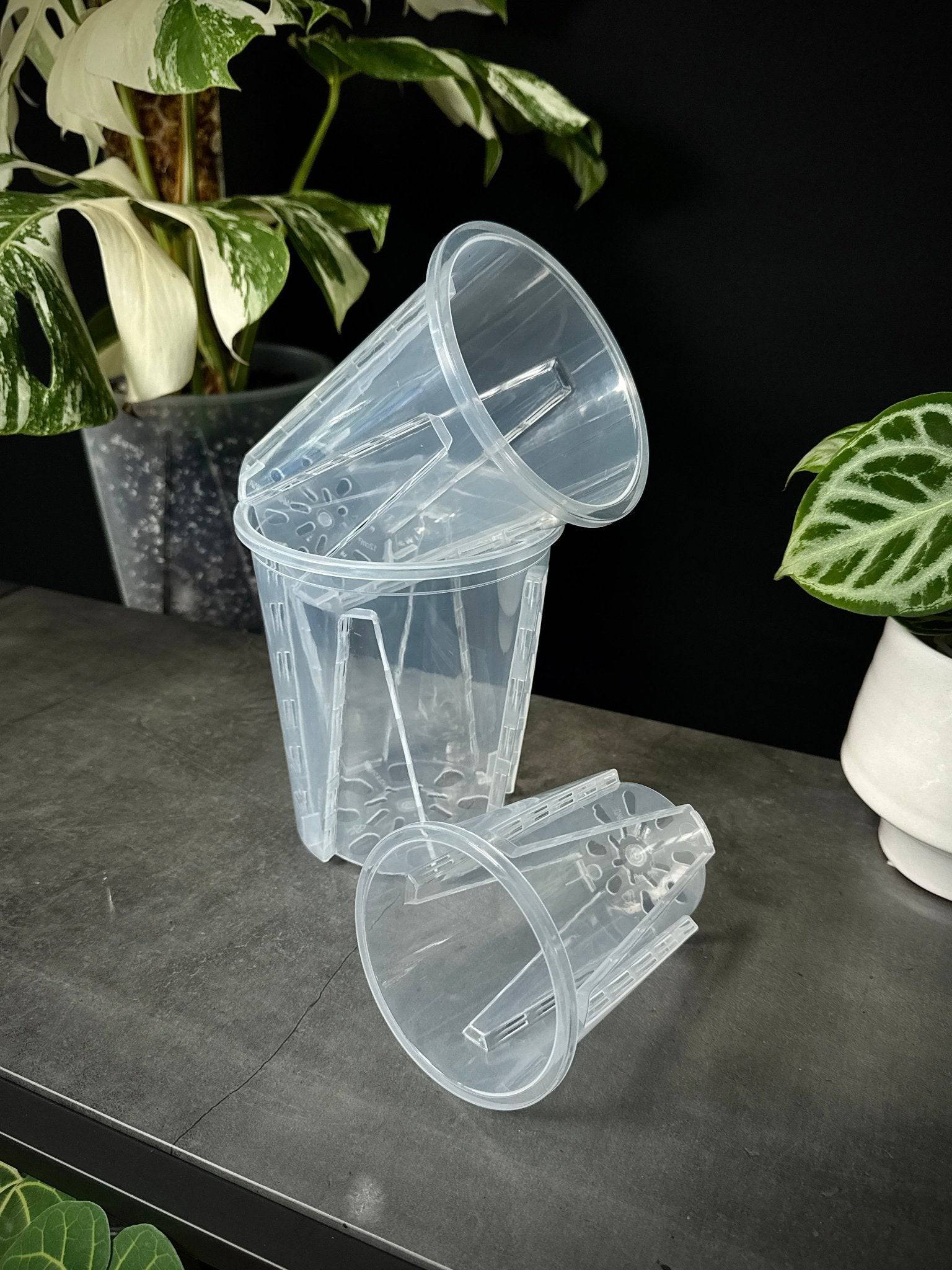 Clear Anti - Spiral Aroid Pots - SMUKHI
