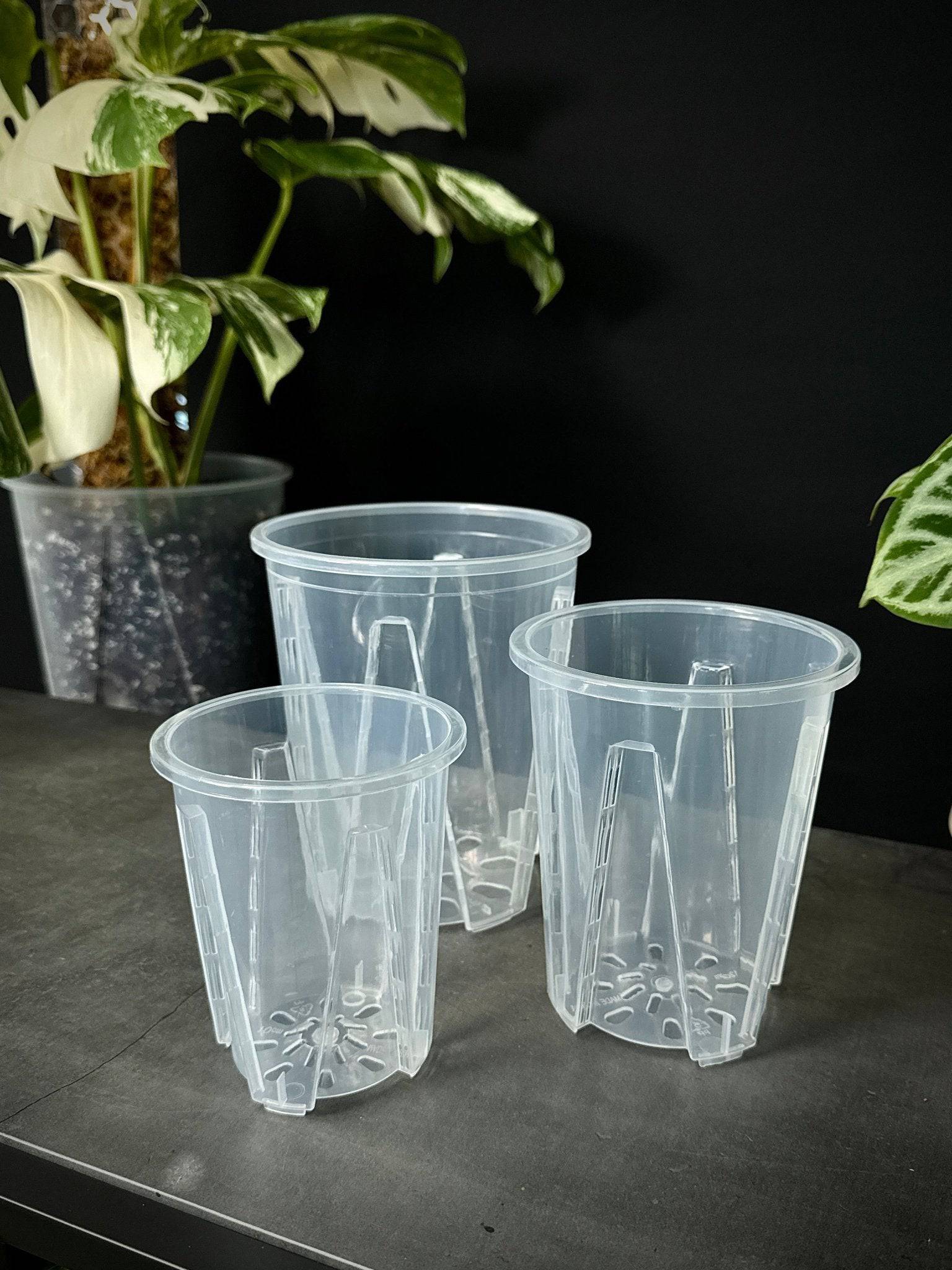 Clear Anti - Spiral Aroid Pots - SMUKHI