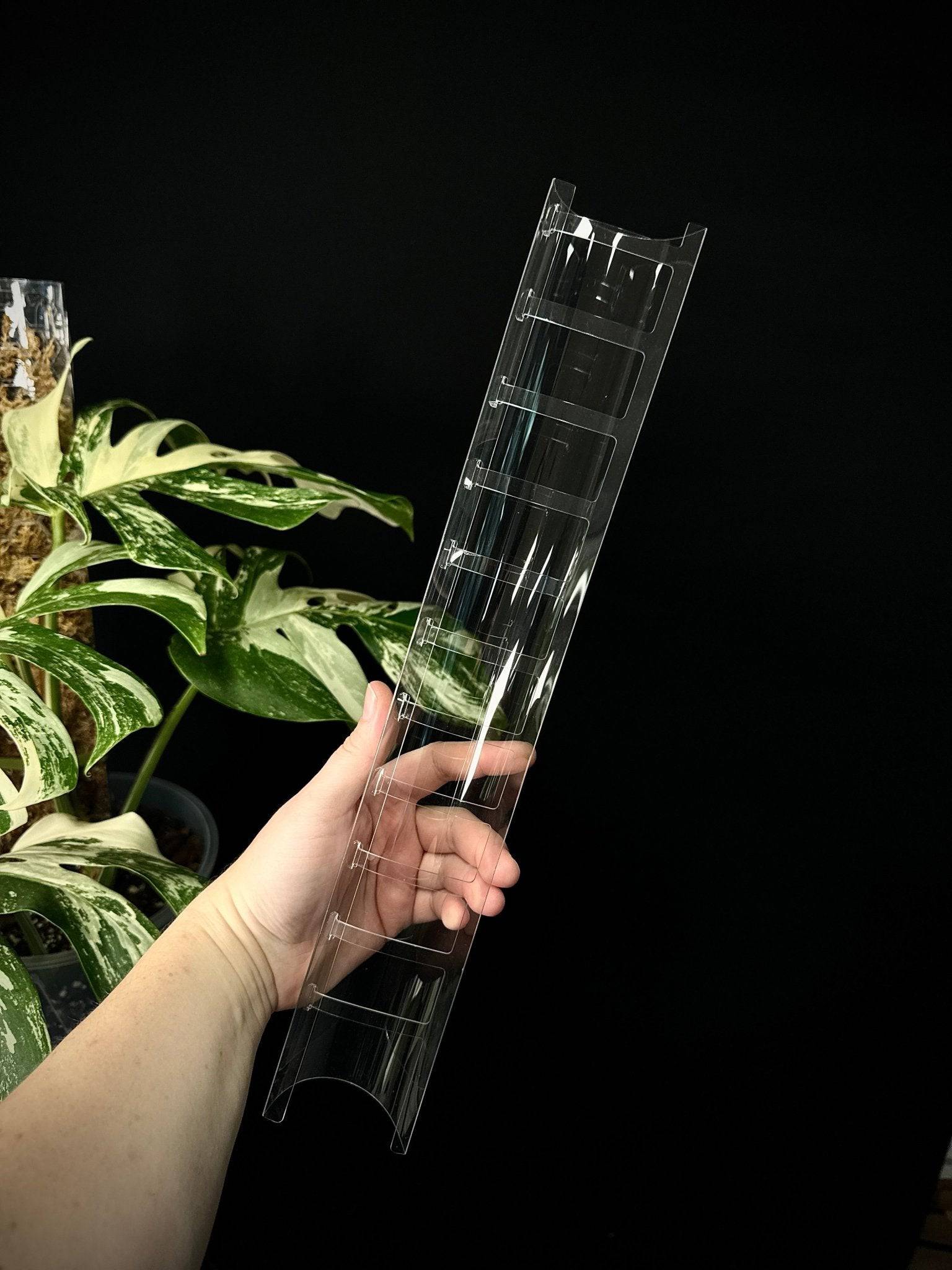 Clear Moss Pole "Lace" (Front Opening) - SMUKHI