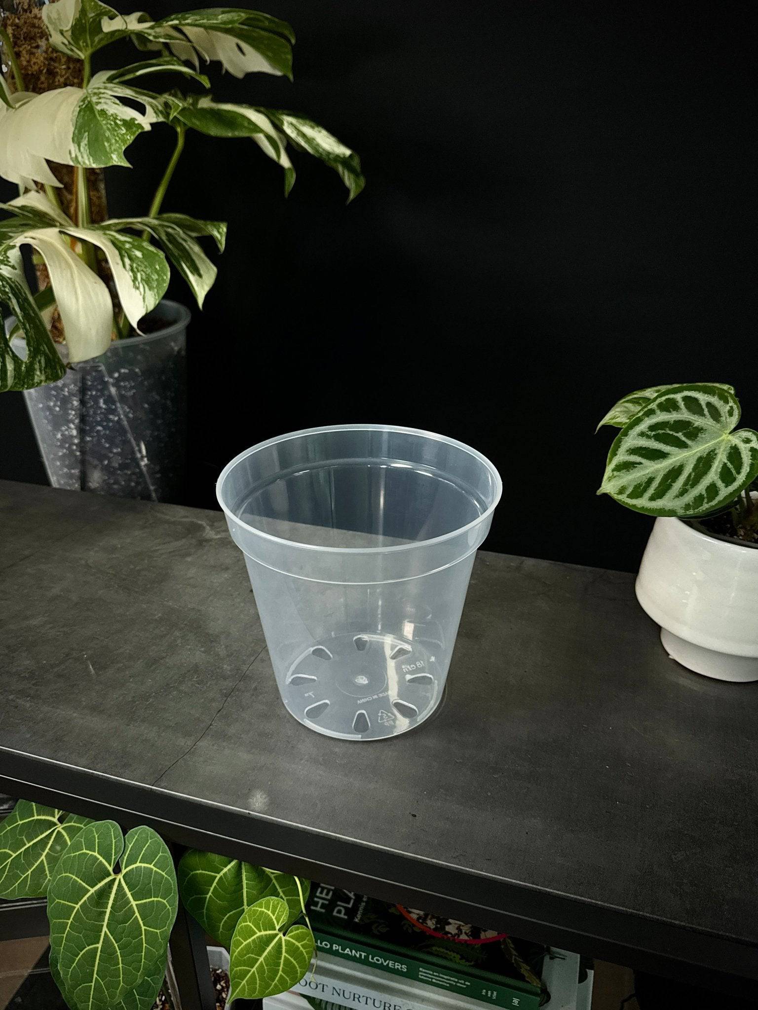 Clear Round Pots - SMUKHI