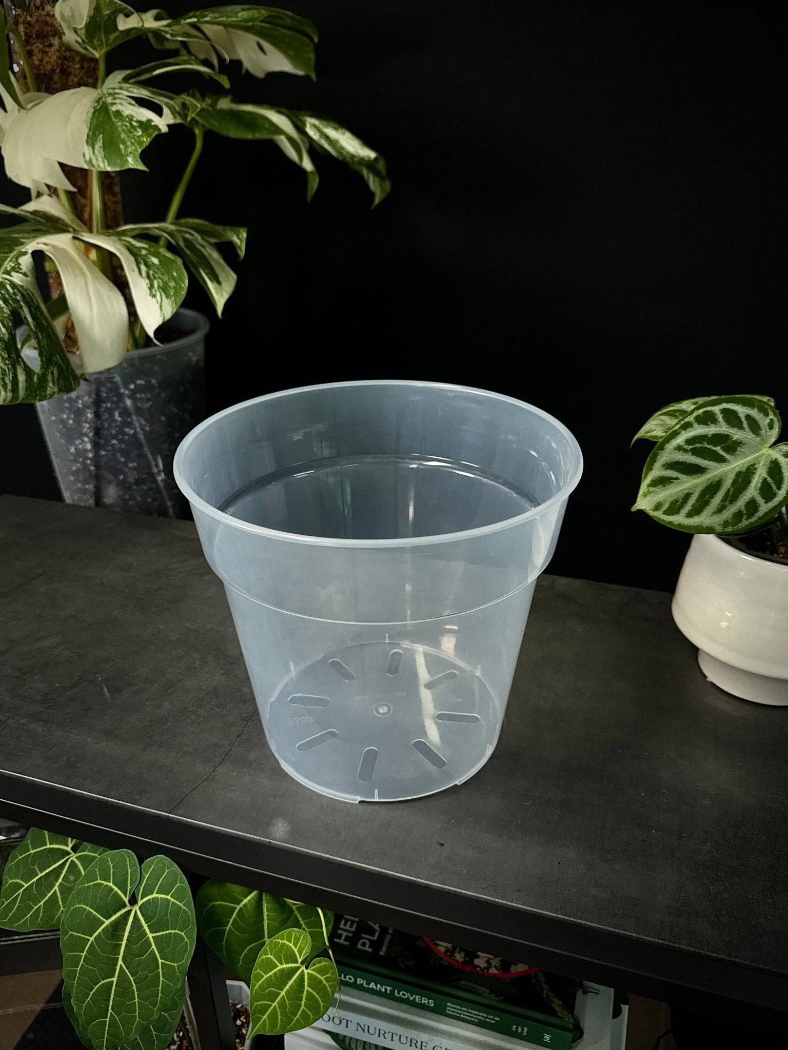 Clear Round Pots - SMUKHI