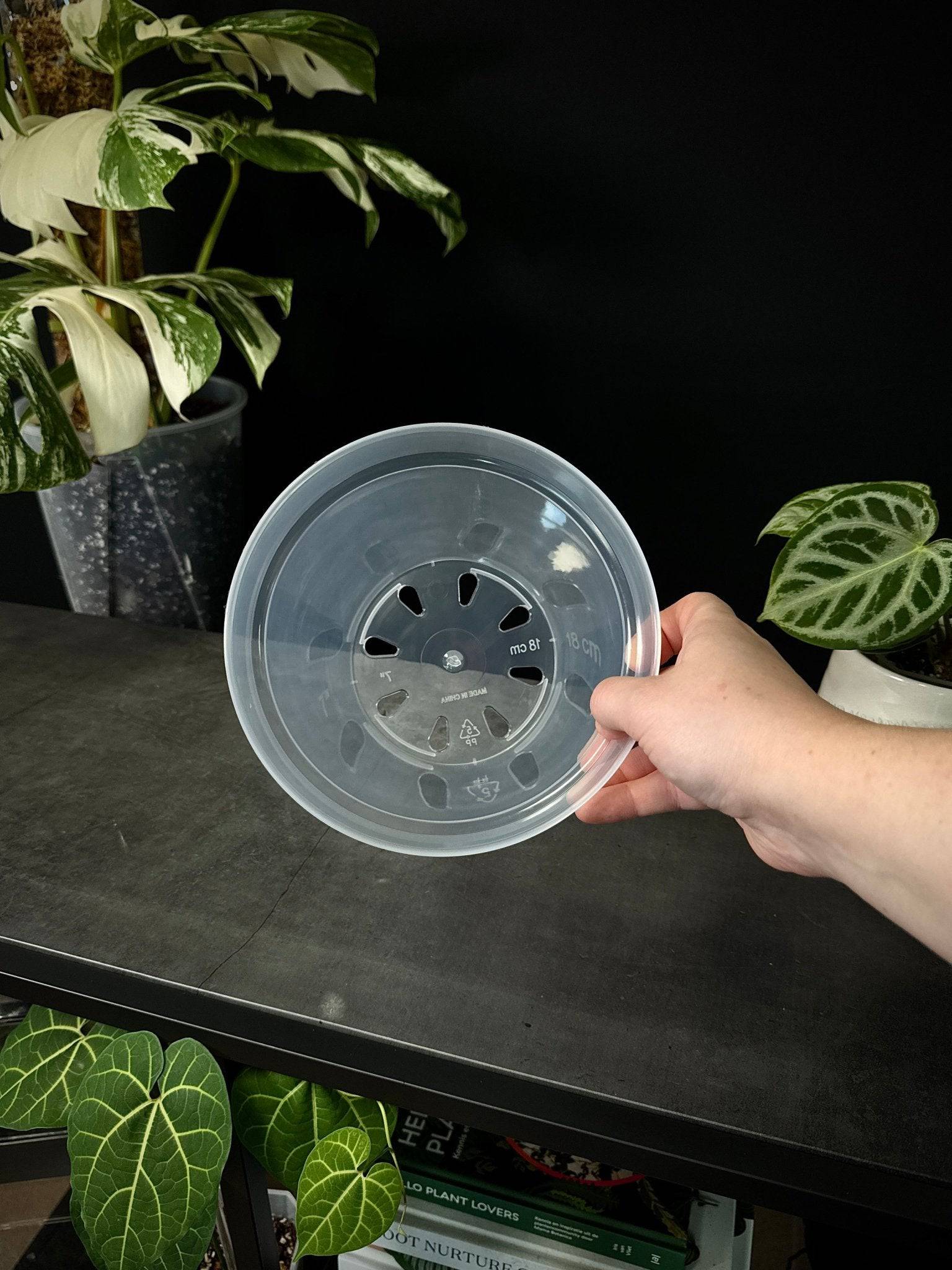 Clear Round Pots - SMUKHI