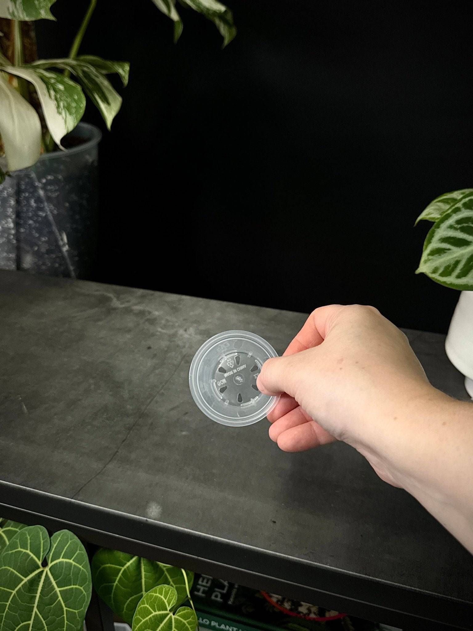 Clear Round Pots - SMUKHI