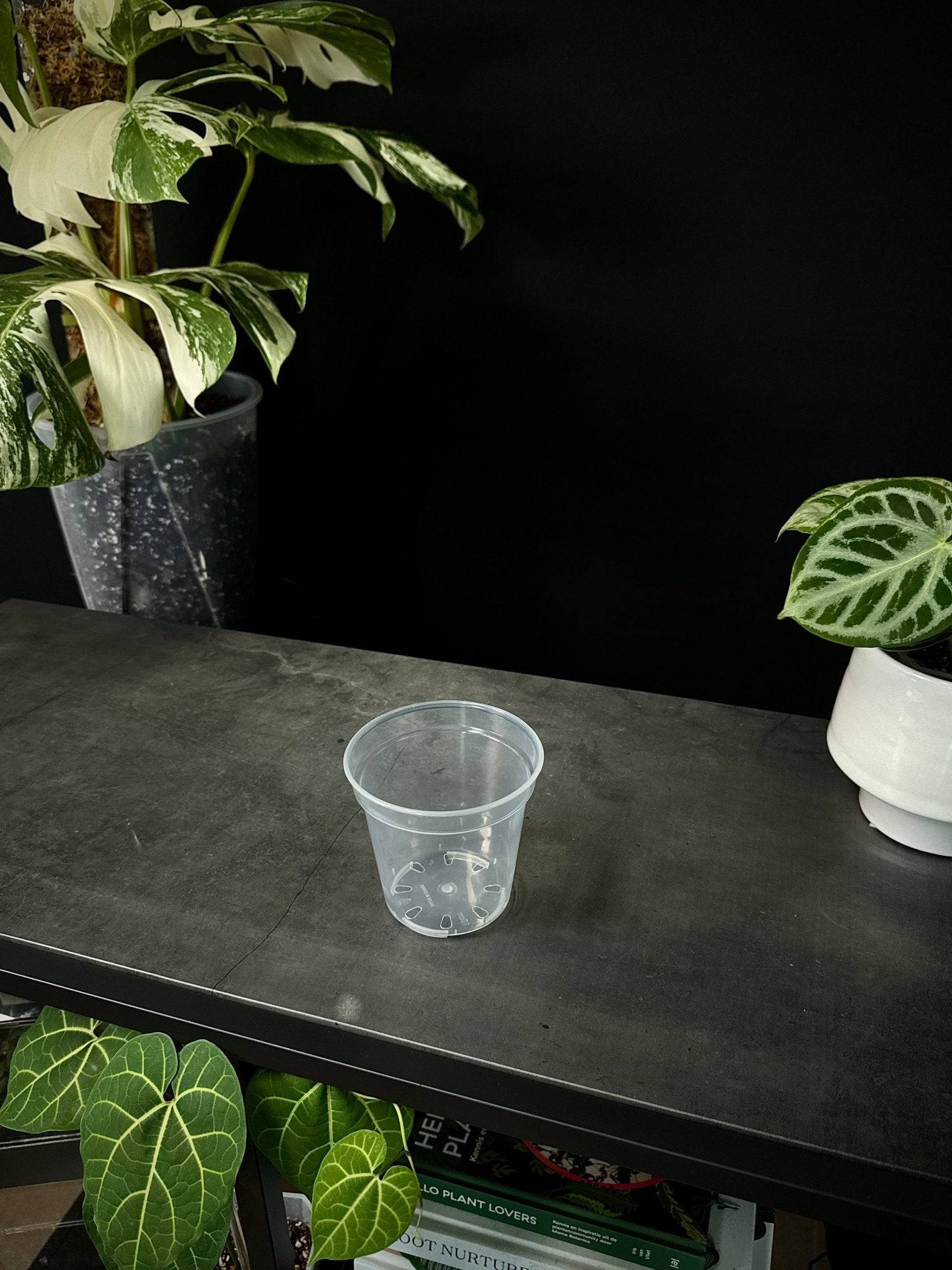 Clear Round Pots - SMUKHI