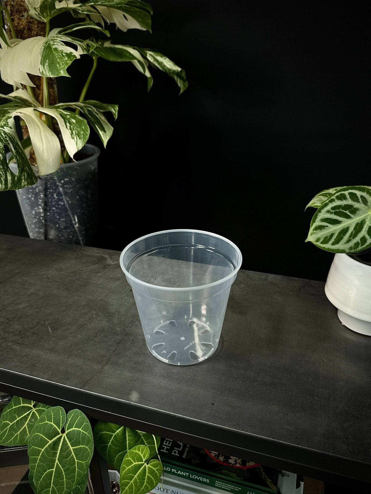 Clear Round Pots - SMUKHI