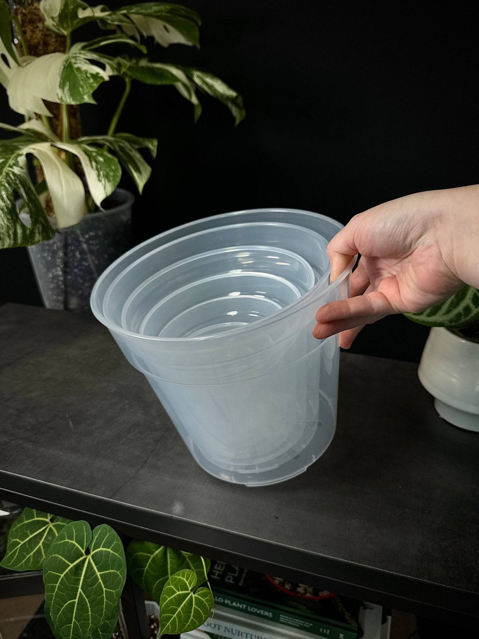 Clear Round Pots - SMUKHI