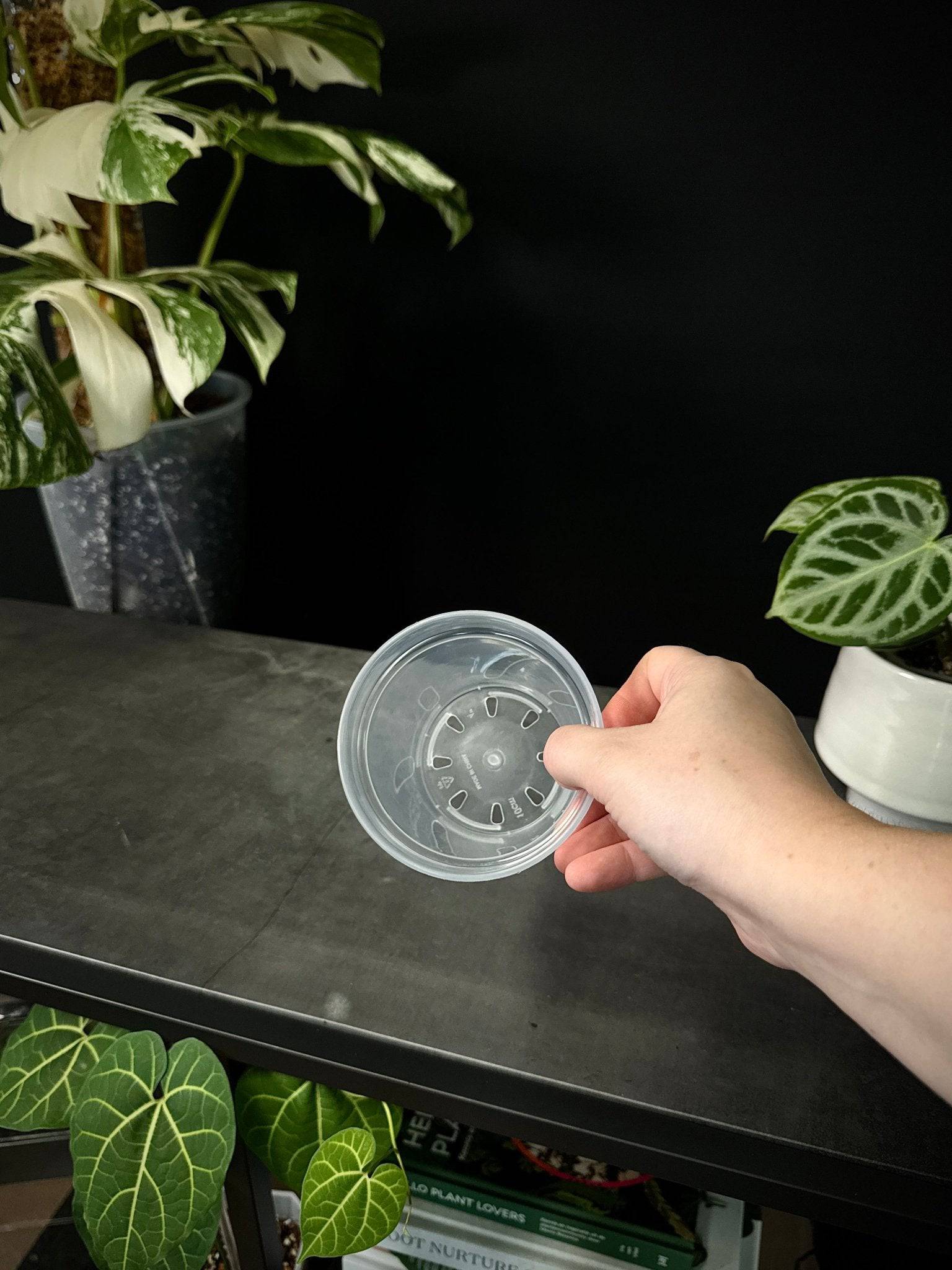 Clear Round Pots - SMUKHI