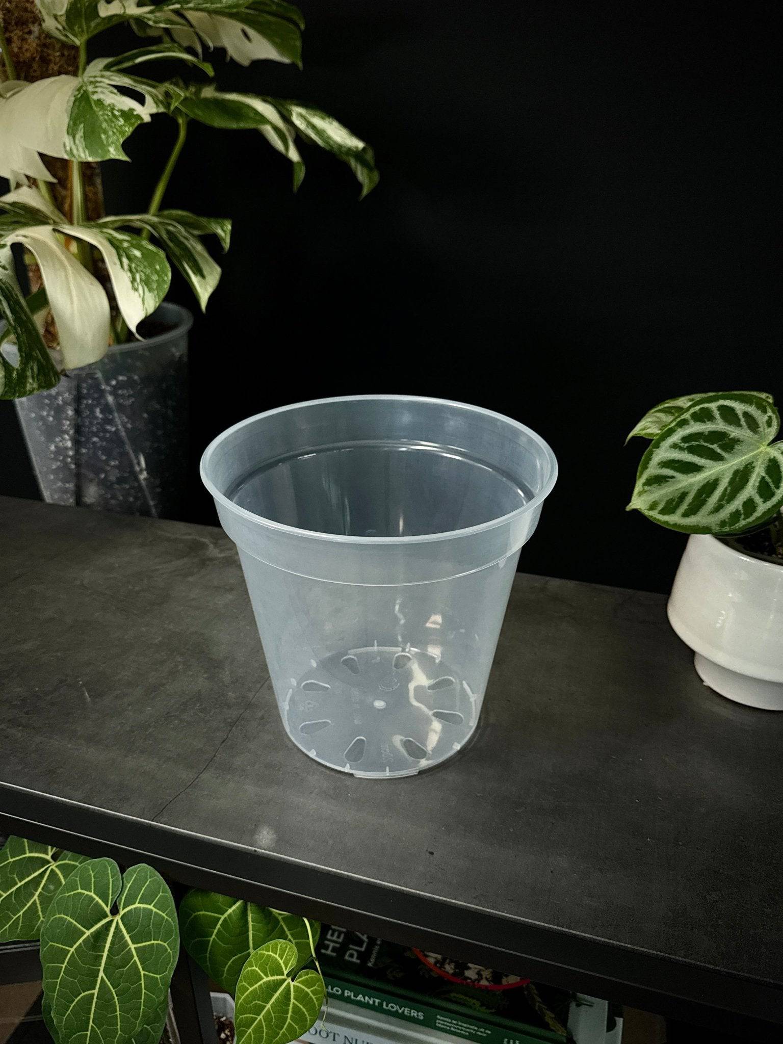 Clear Round Pots - SMUKHI