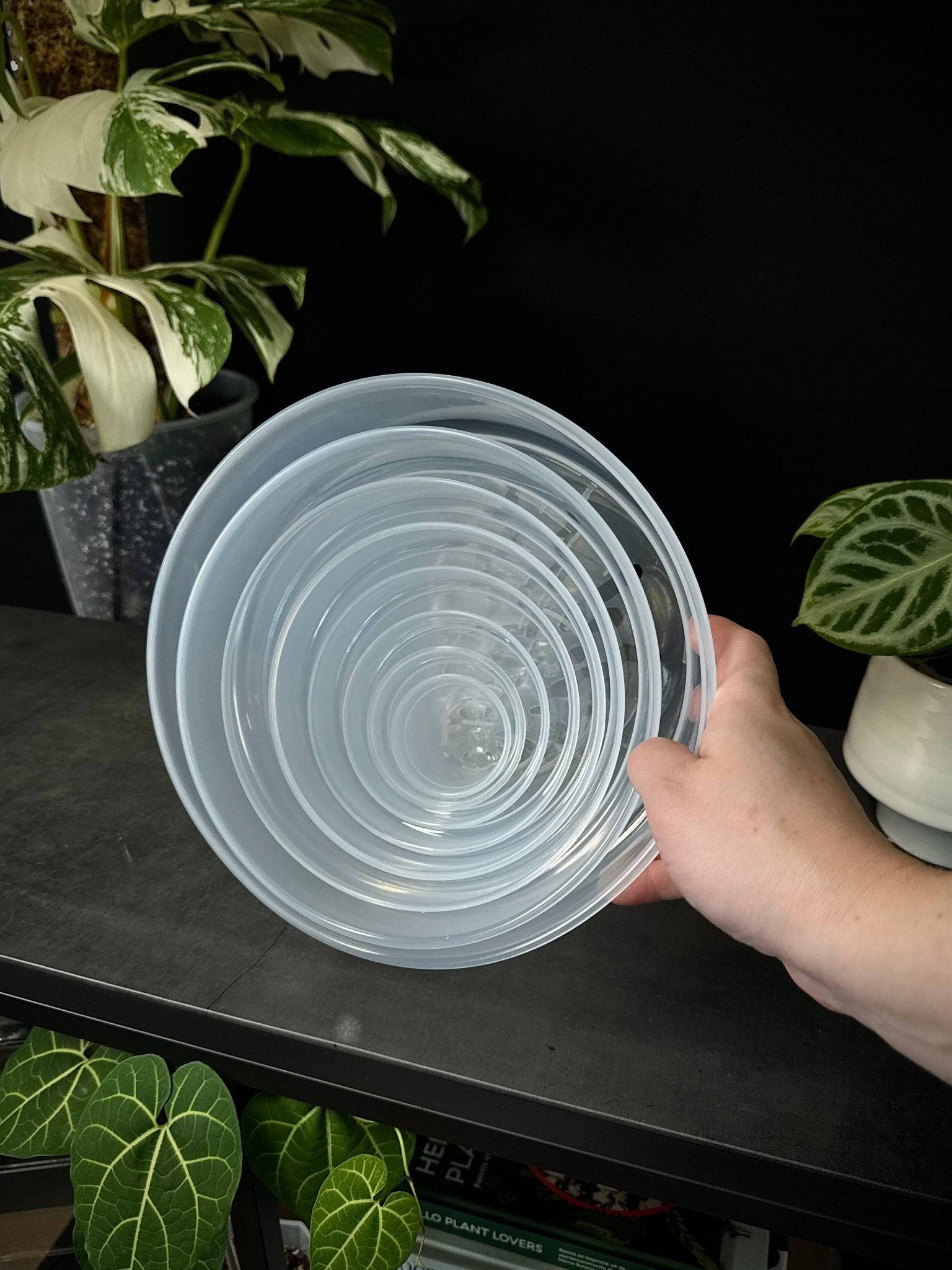 Clear Round Pots - SMUKHI