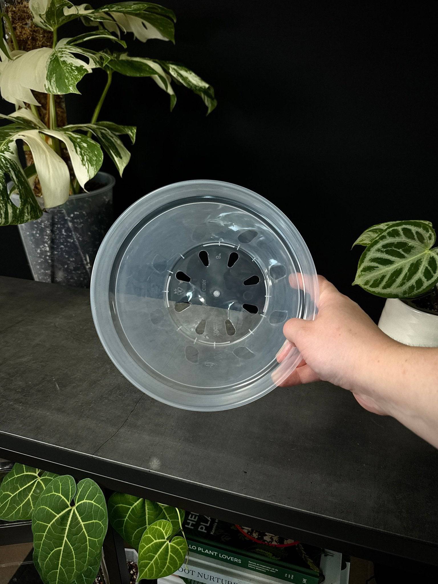 Clear Round Pots - SMUKHI