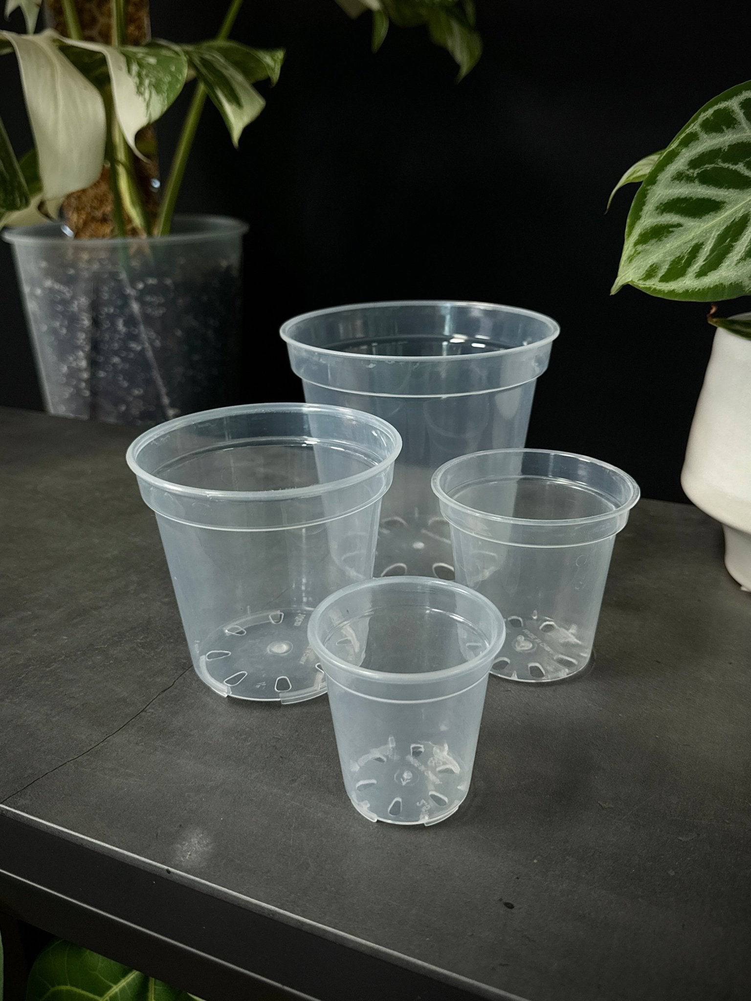 Clear Round Pots