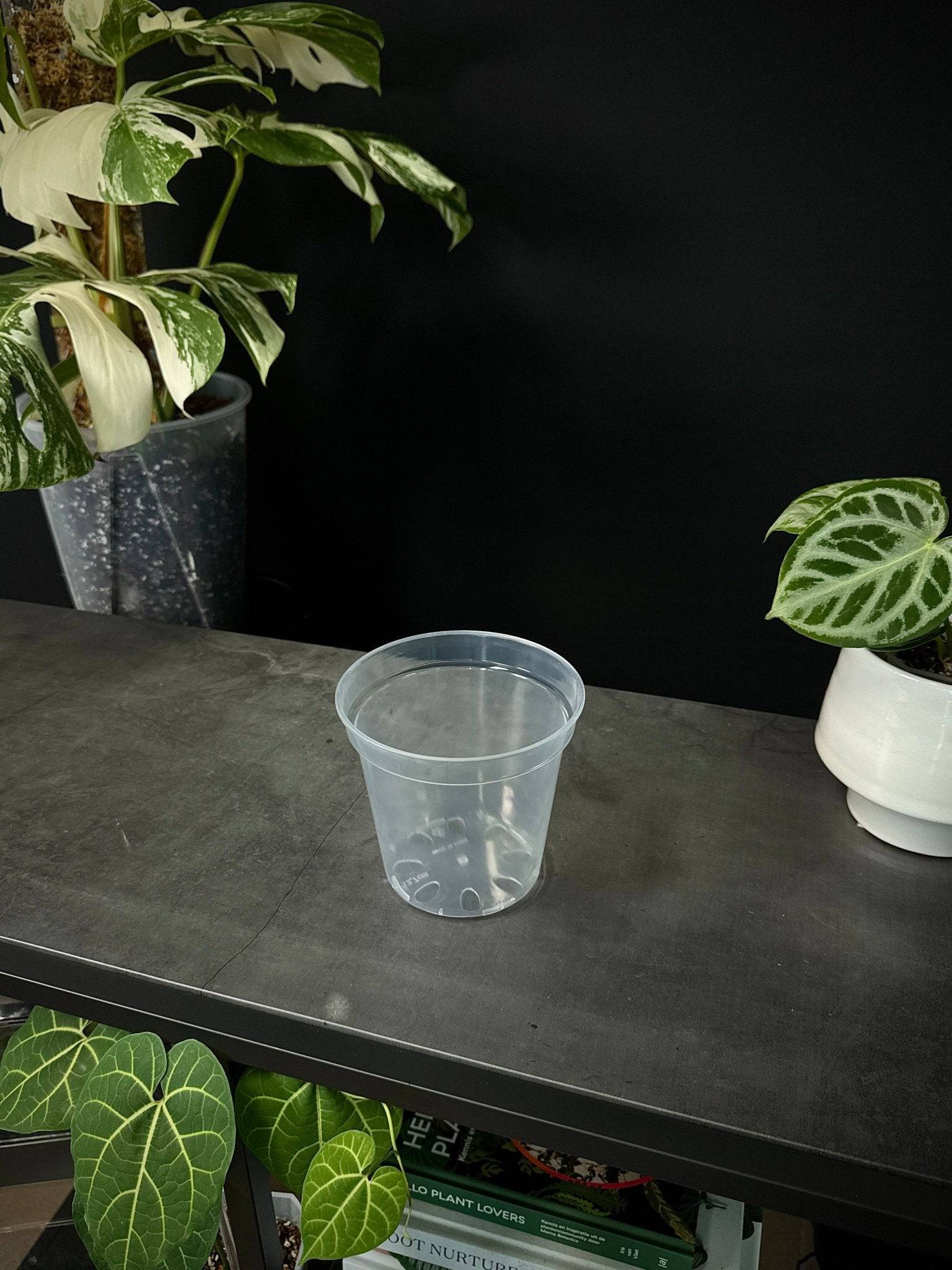 Clear Round Pots - SMUKHI