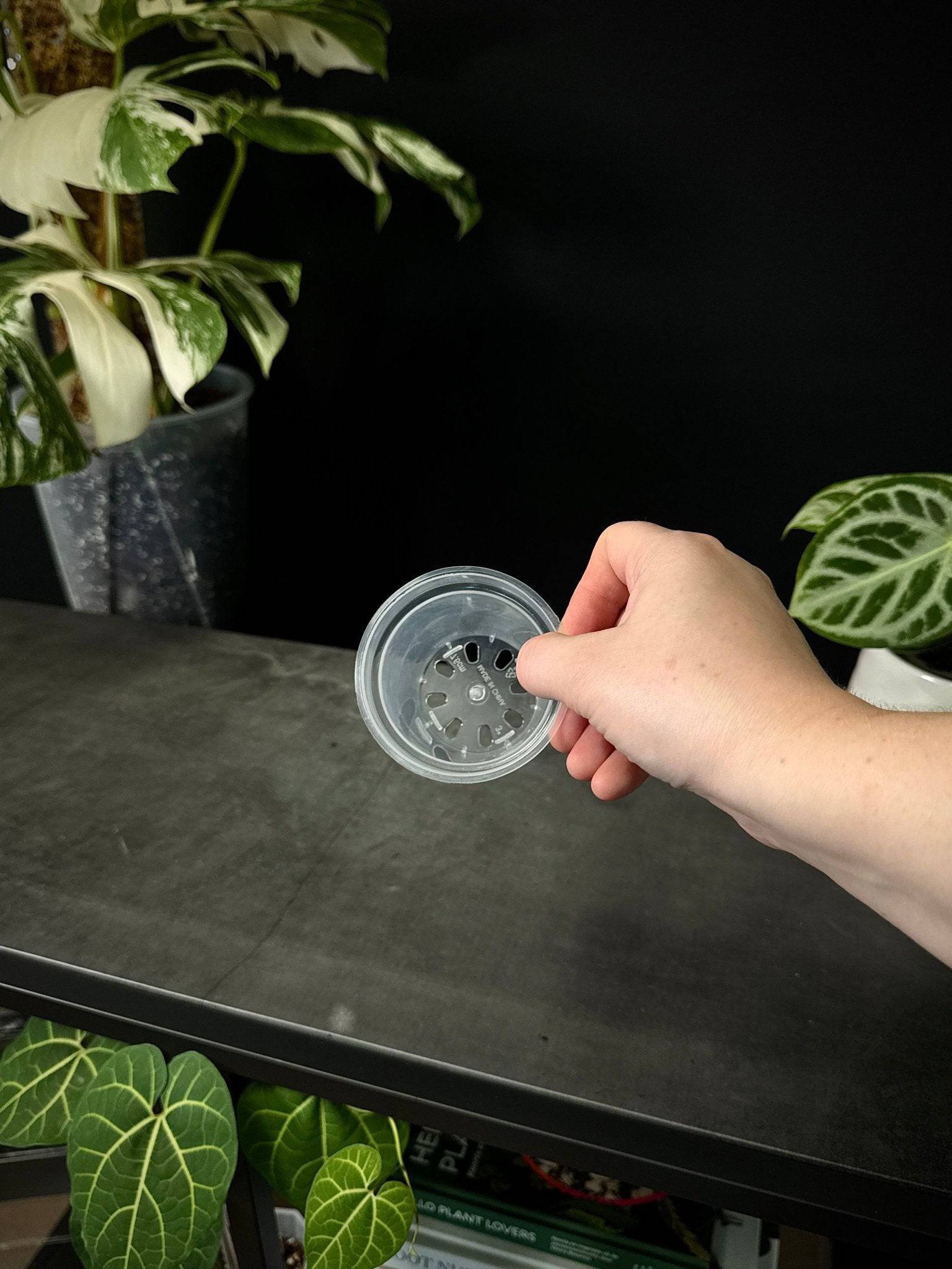 Clear Round Pots - SMUKHI