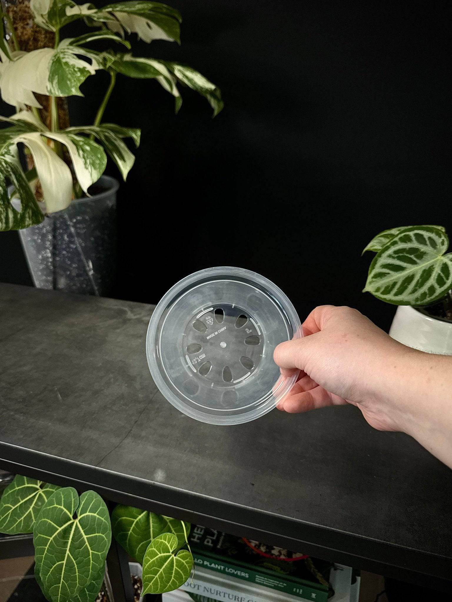 Clear Round Pots - SMUKHI