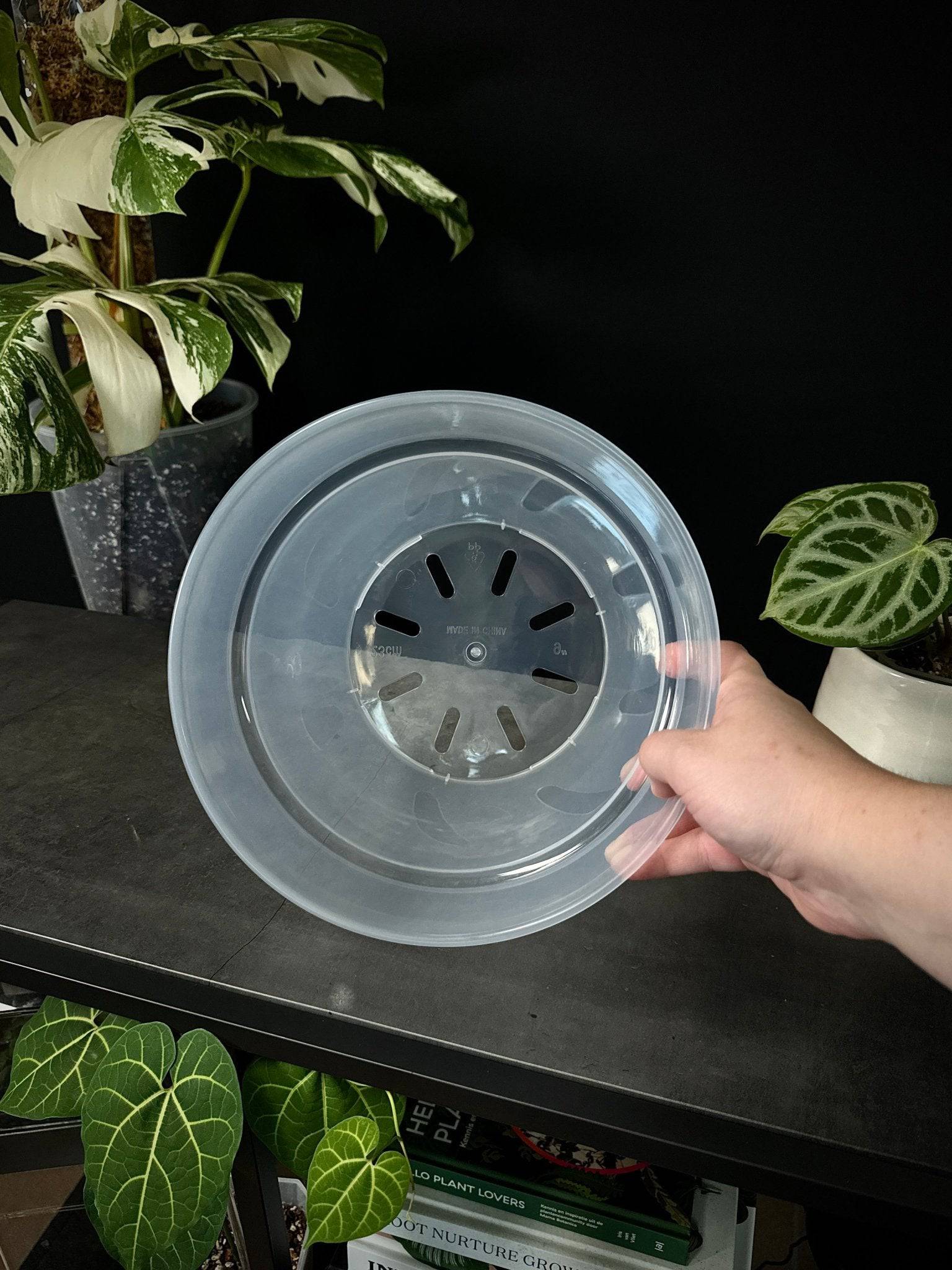 Clear Round Pots - SMUKHI