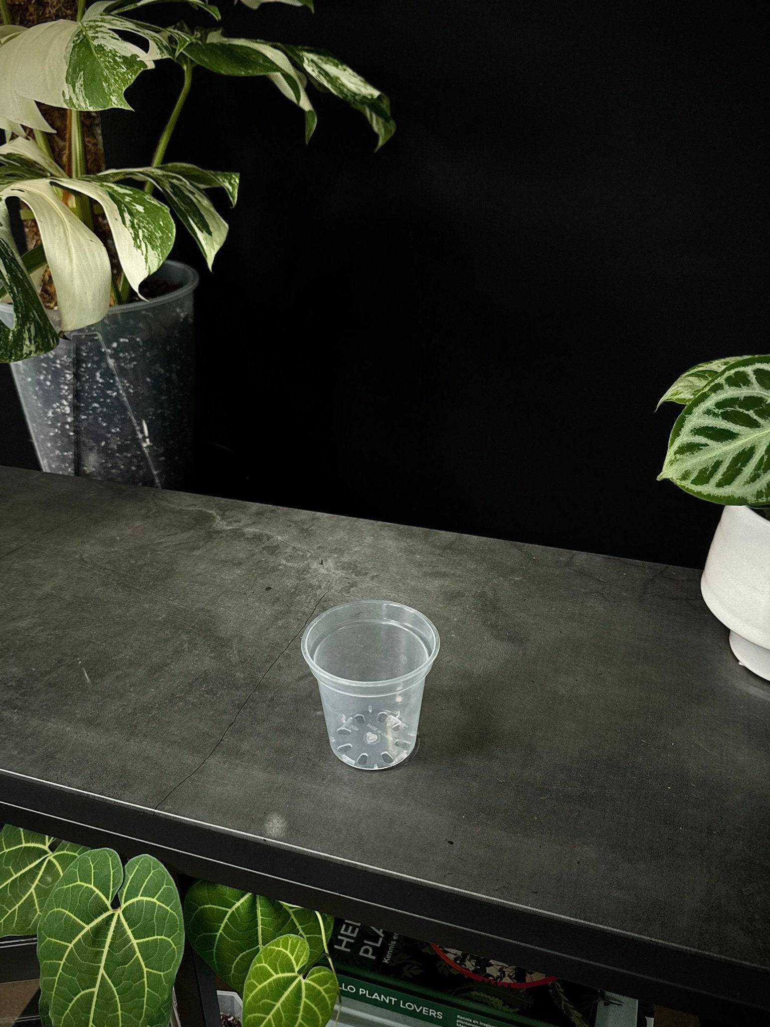 Clear Round Pots - SMUKHI