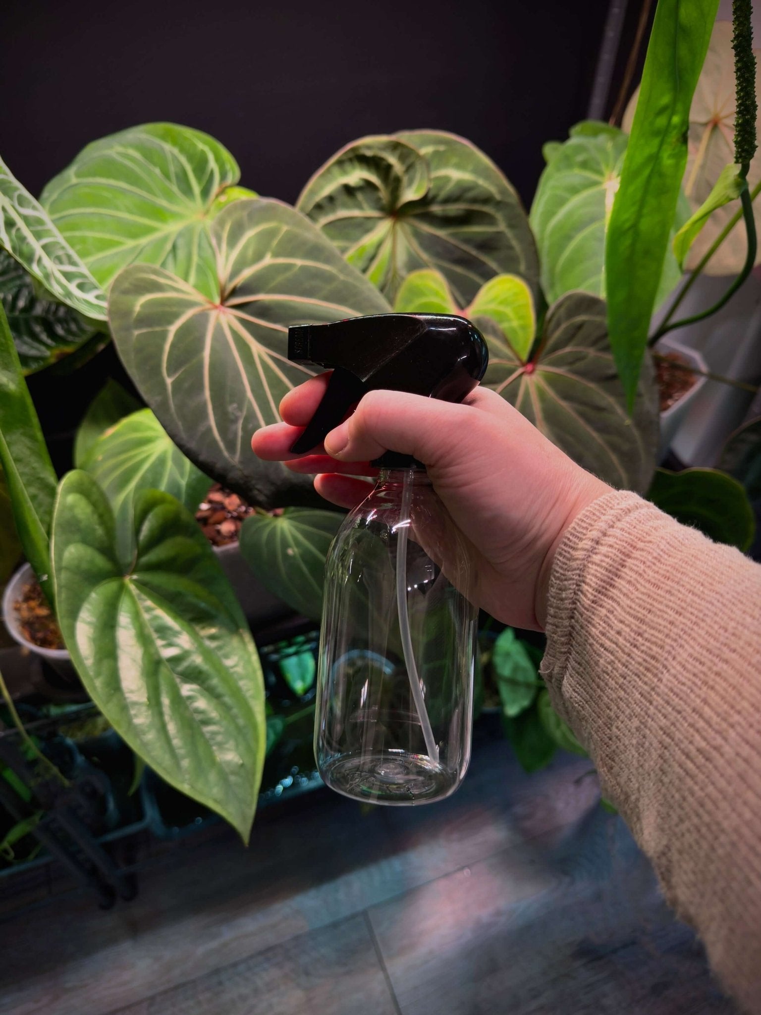 Clear Spray Bottle - SMUKHI