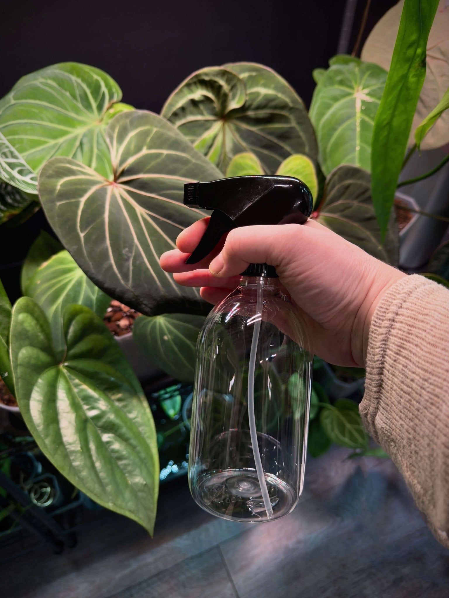 Clear Spray Bottle - SMUKHI