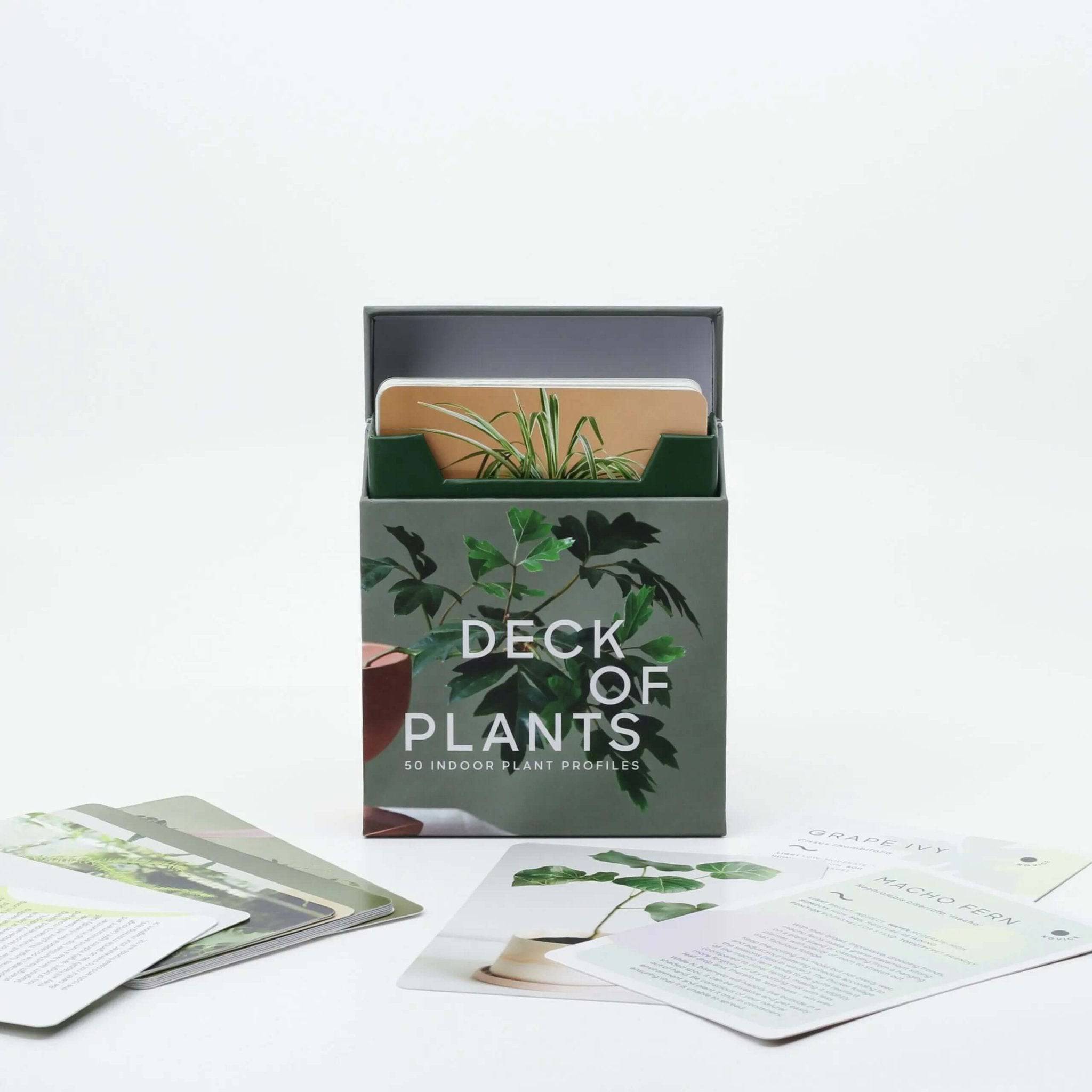 Leaf Supply Deck of Plants - SMUKHI