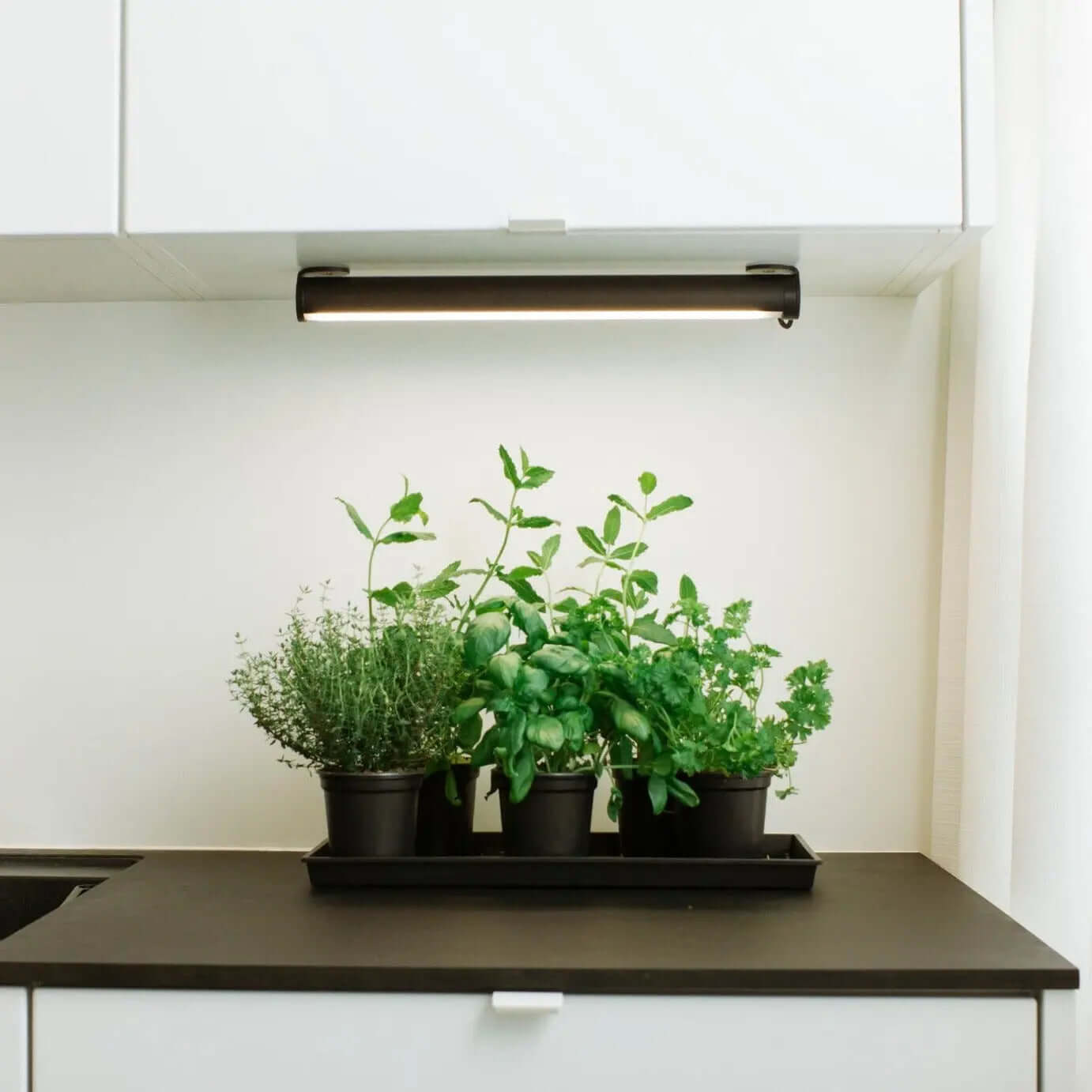 Mother Growlight wall mounts for growlight accessories, showing sturdy, adjustable brackets for secure installation.