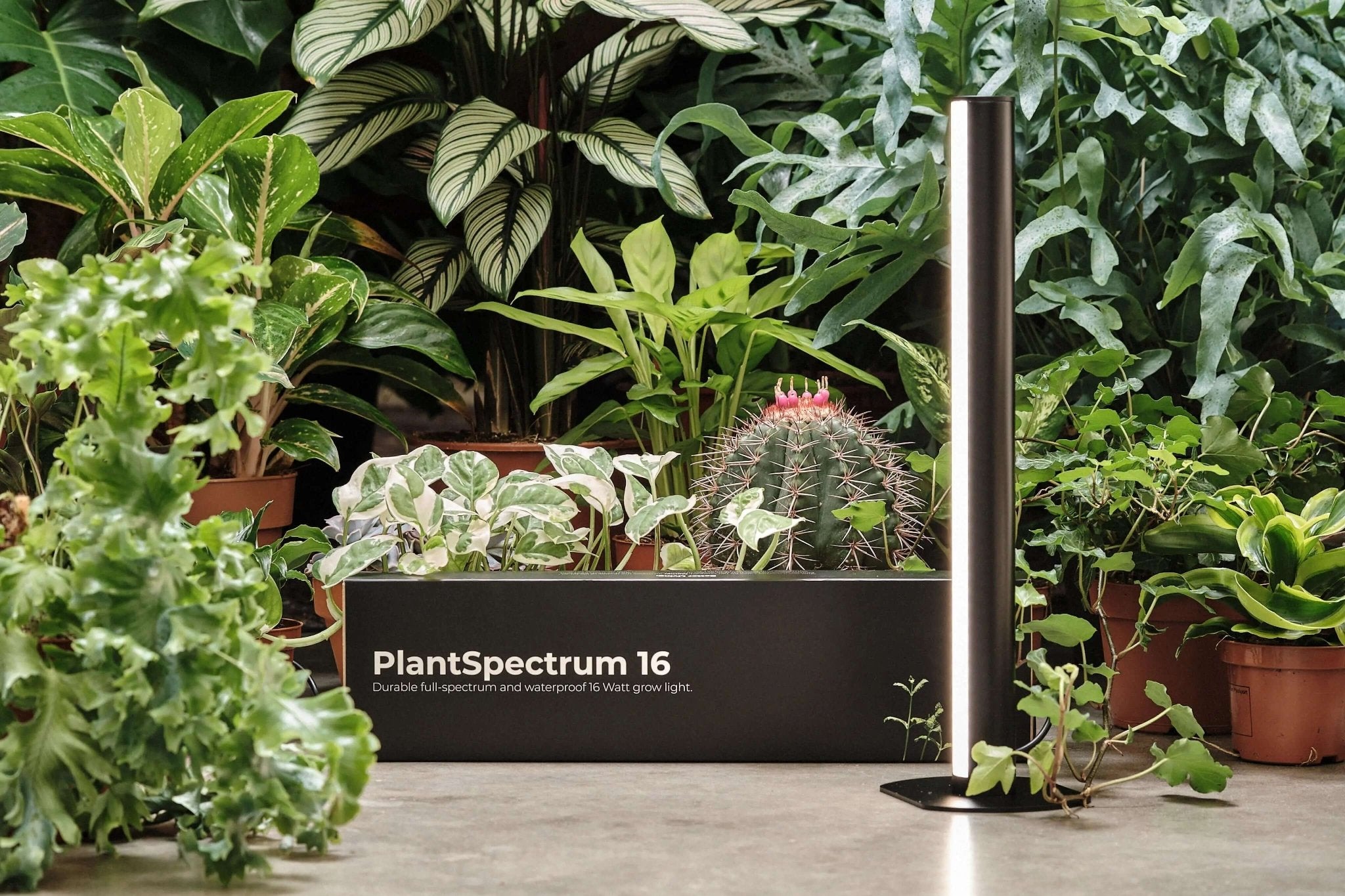 Mother PlantSpectrum 16 full-spectrum LED growlight, designed for indoor plant growth, with multiple LED panels on a black frame.