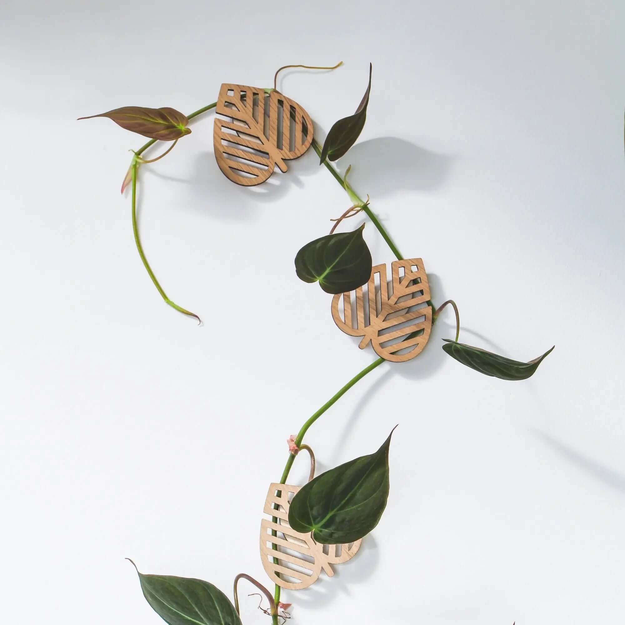 Plant Climbing Wall Supports "Climbing Leaves" - Set of 3 - SMUKHI