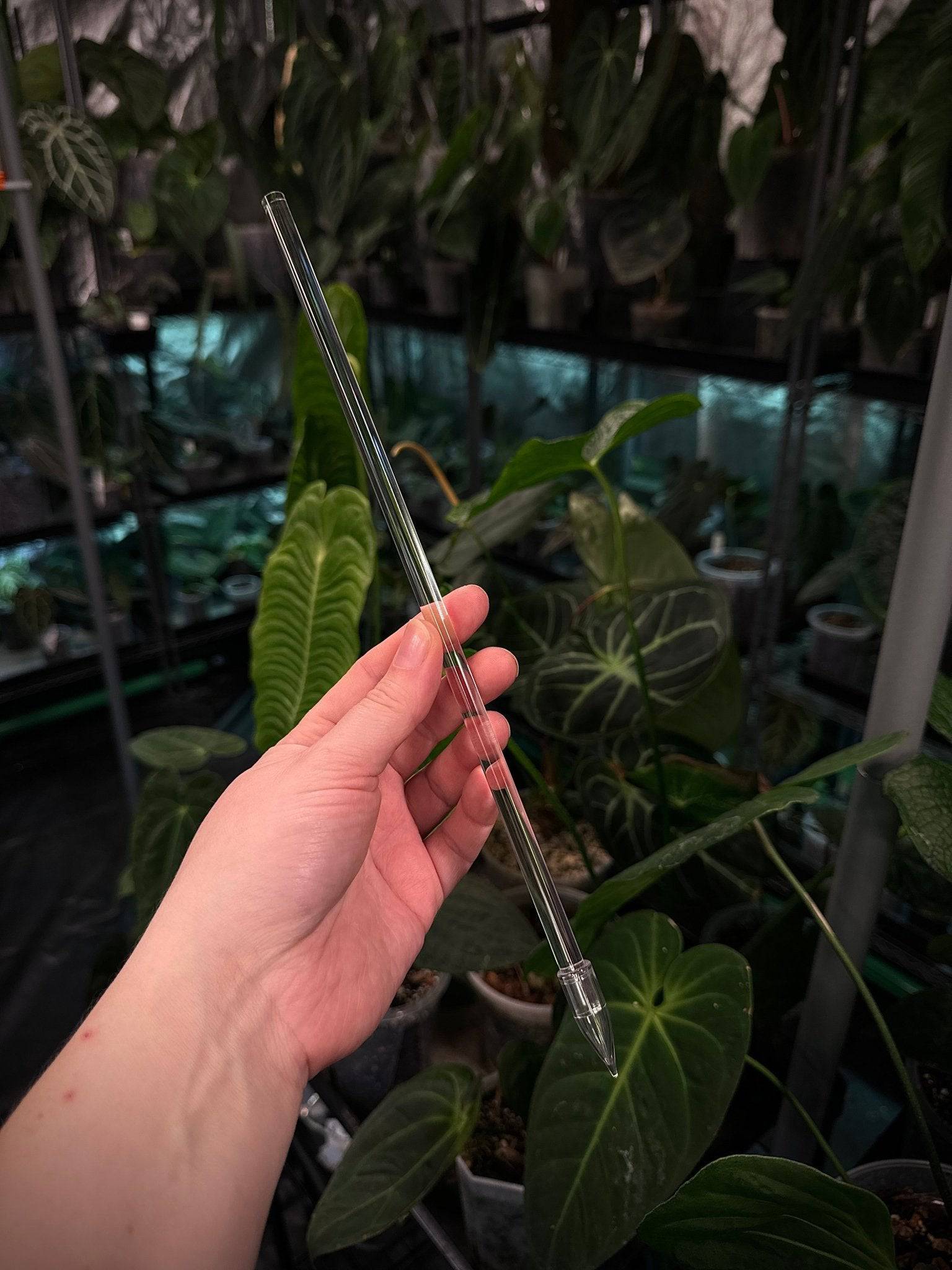 Plant Stake - SMUKHI