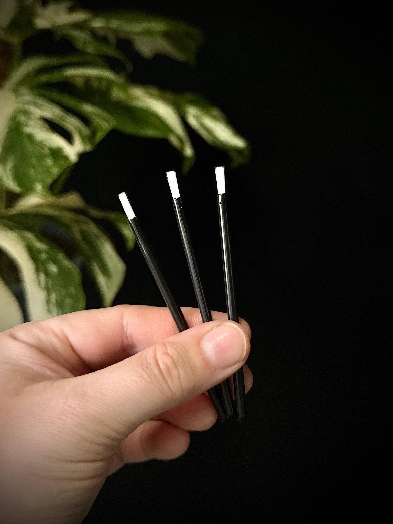 Pollen Brushes - Mini (10 pcs) - SMUKHI