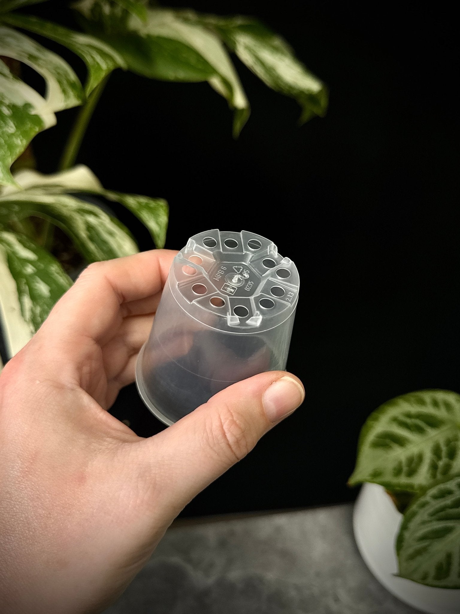 Set of 10 clear plastic plant pots from SMUKHI, 6 cm diameter, ideal for small indoor or outdoor plants.