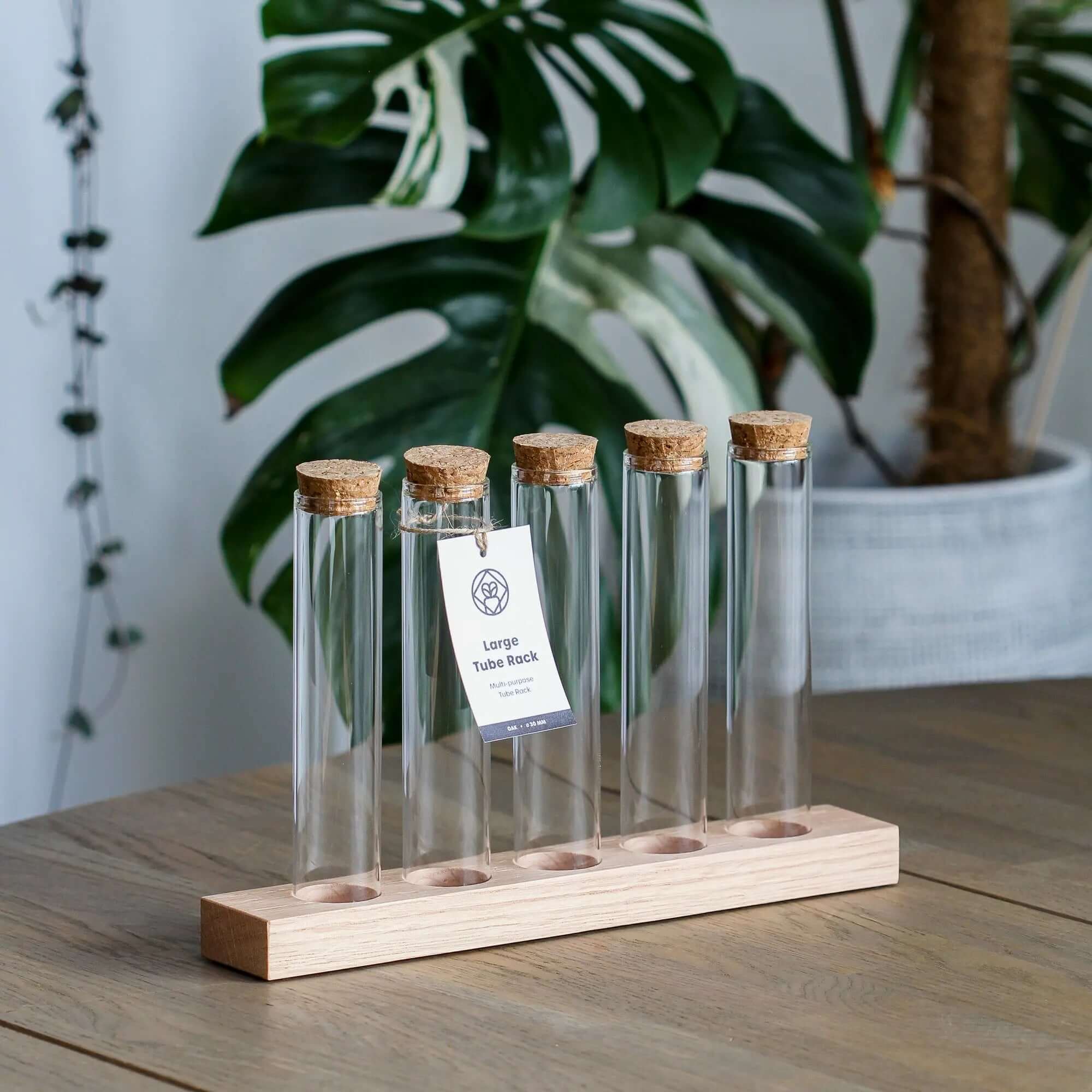 SMUKHI multifunctional propagation station with three oak wood tubes, also serving as a spice rack and plant propagation stand.