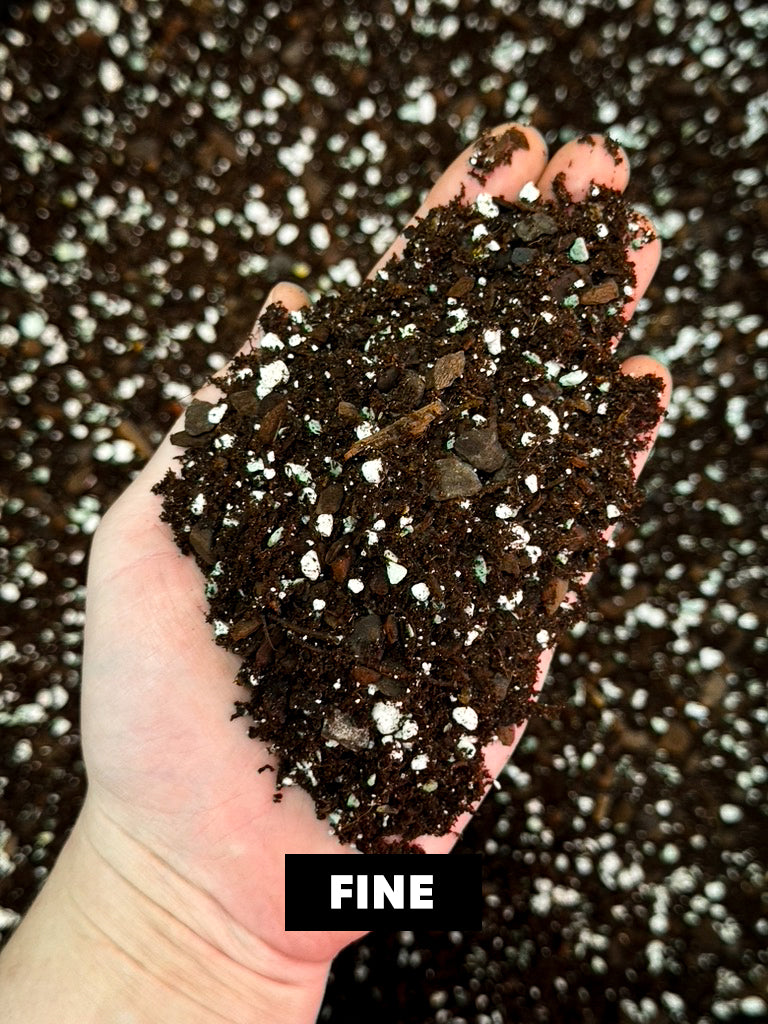 SMUKHI Aroid Organic Mix substrate with fine tree fern blend in 5L bag for healthy plant growth and soil enrichment.