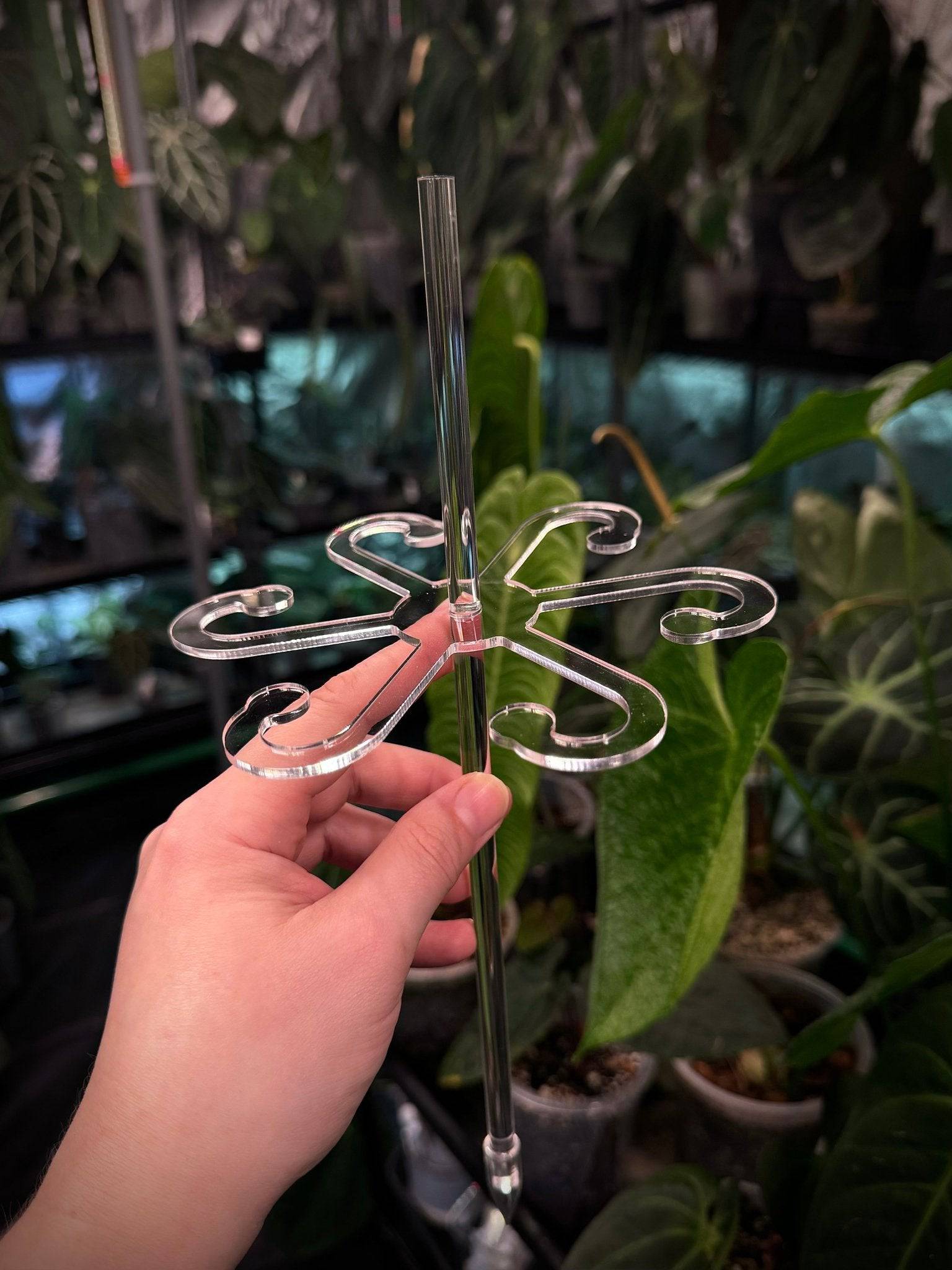Stem Support Hook - SMUKHI
