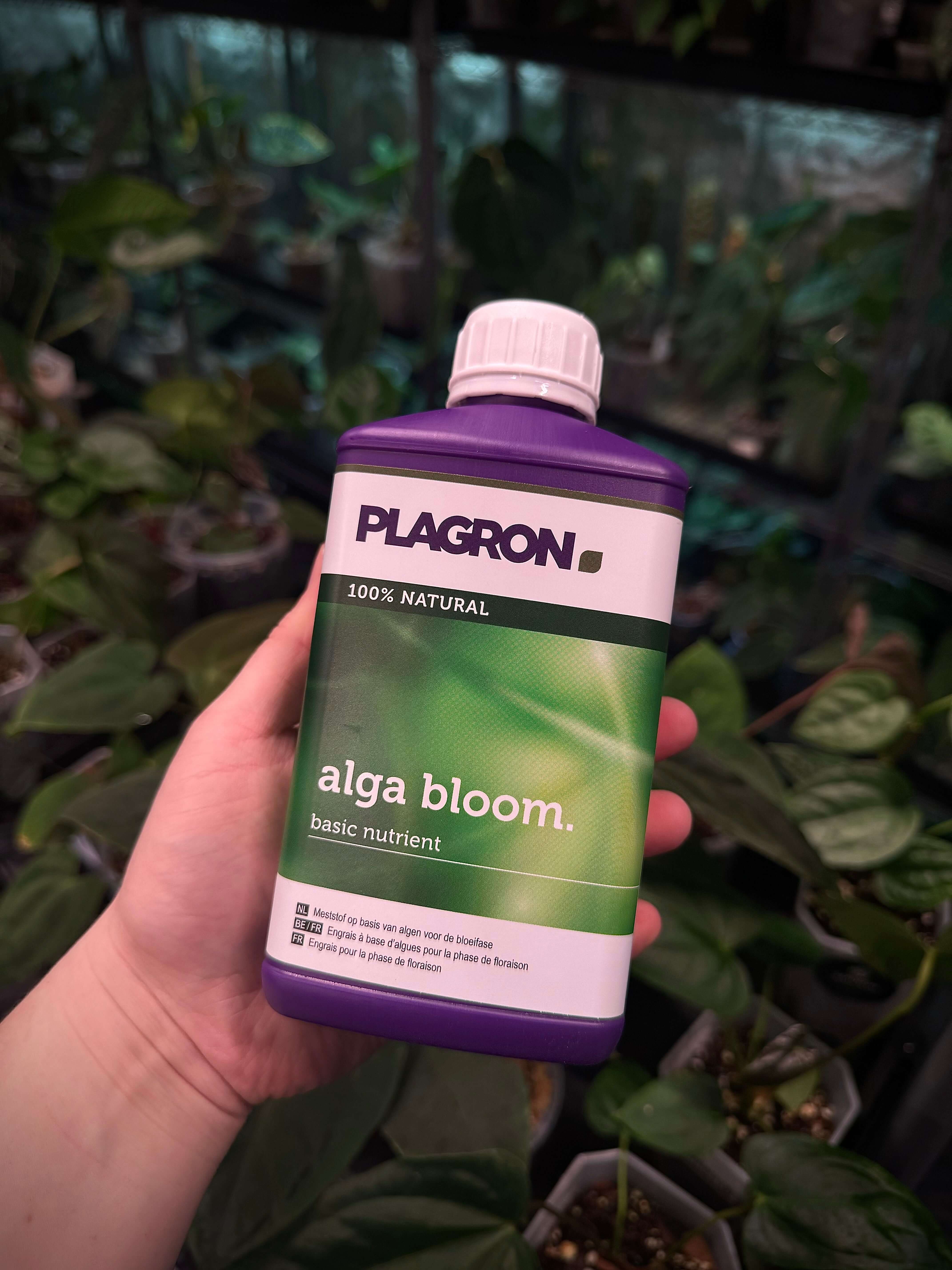 Plagron Alga Bloom - SMUKHI