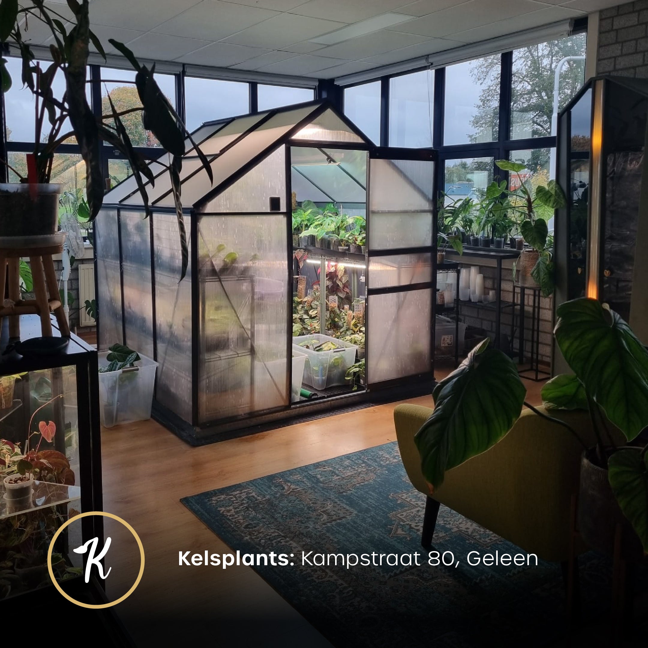 Open House - Free Entry Ticket