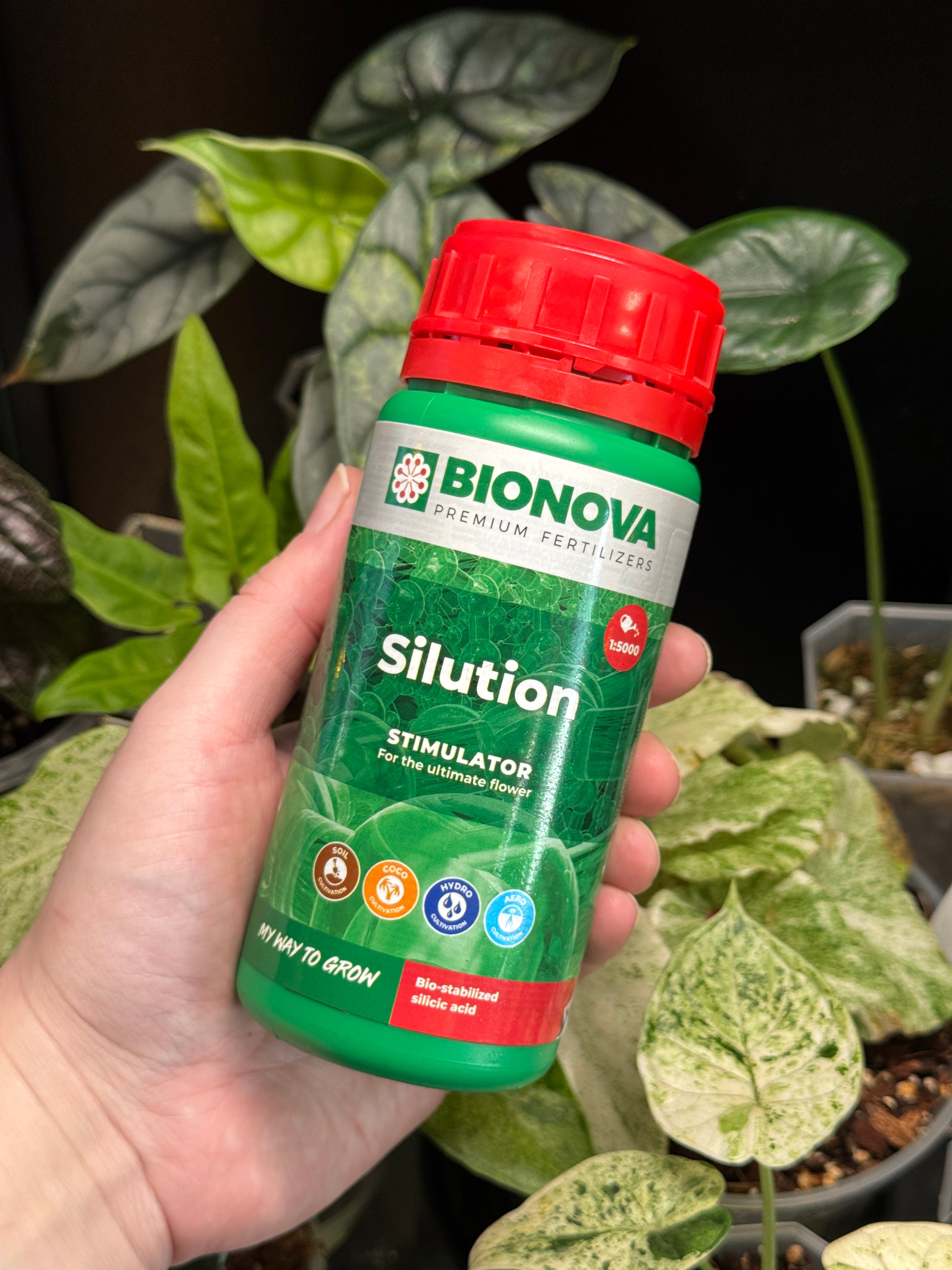 Bio Nova Silution (Mono silicic acid)