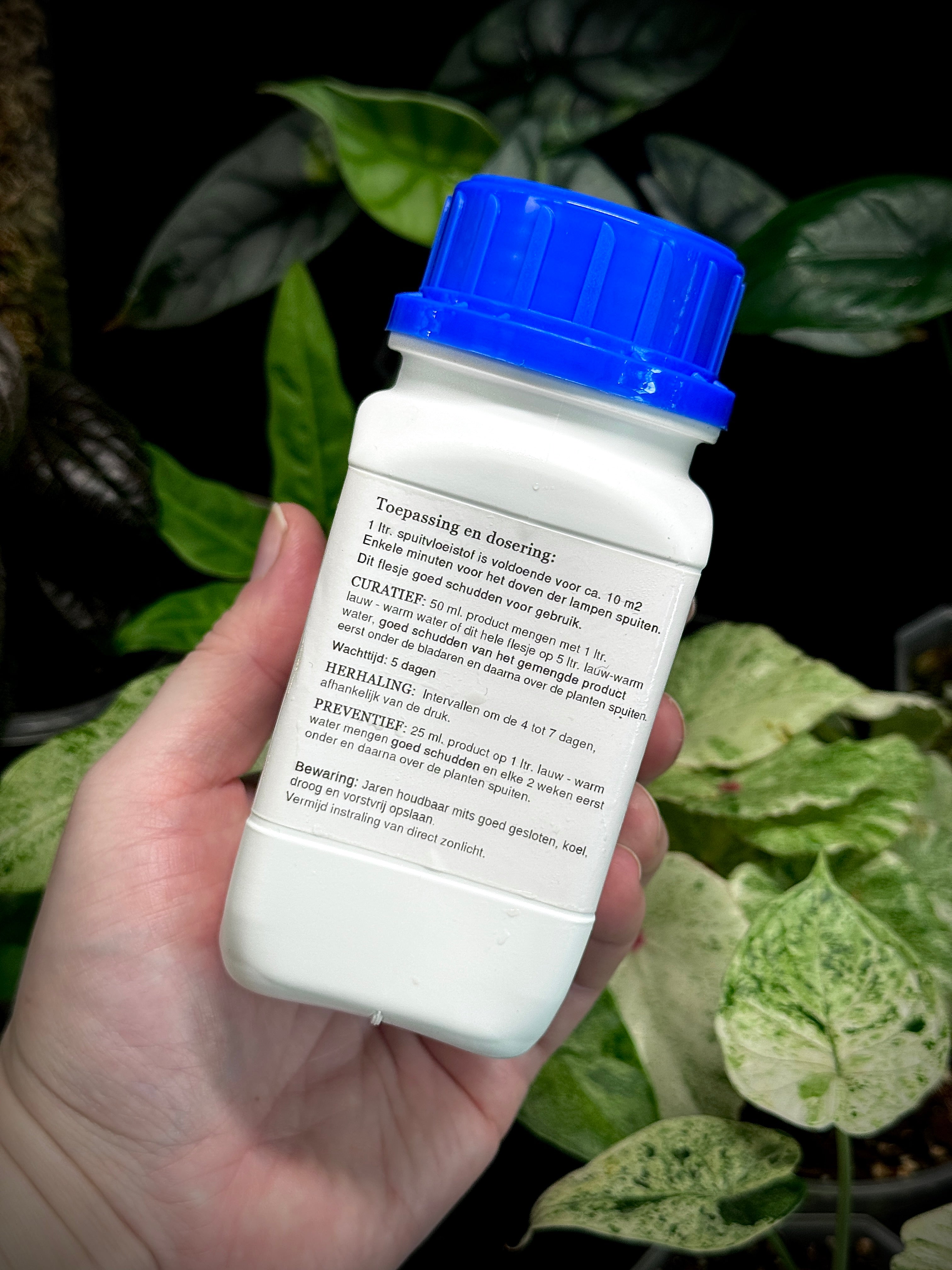 Spired - Against spider mites - 250 ml