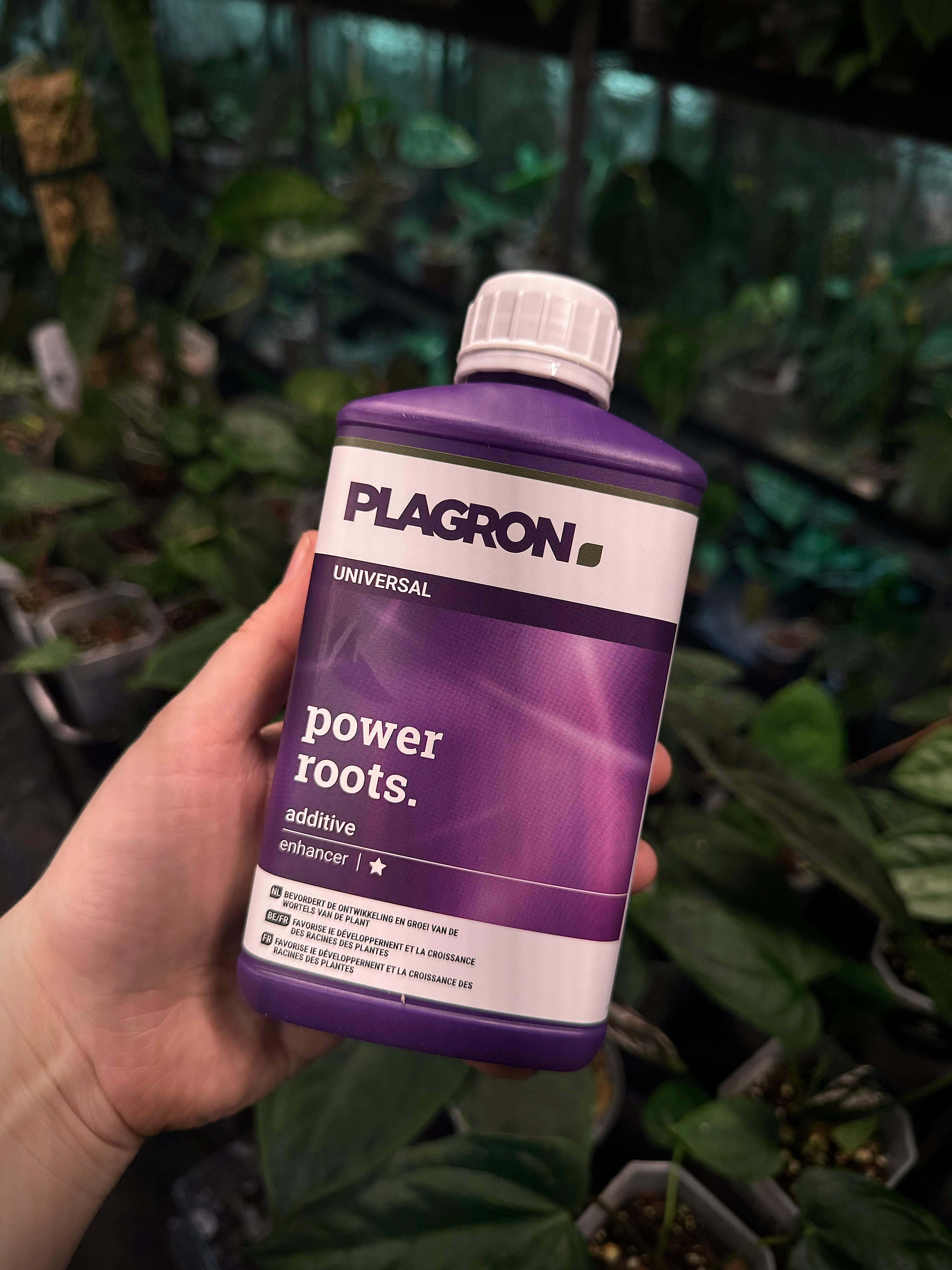 Plagron Power Roots