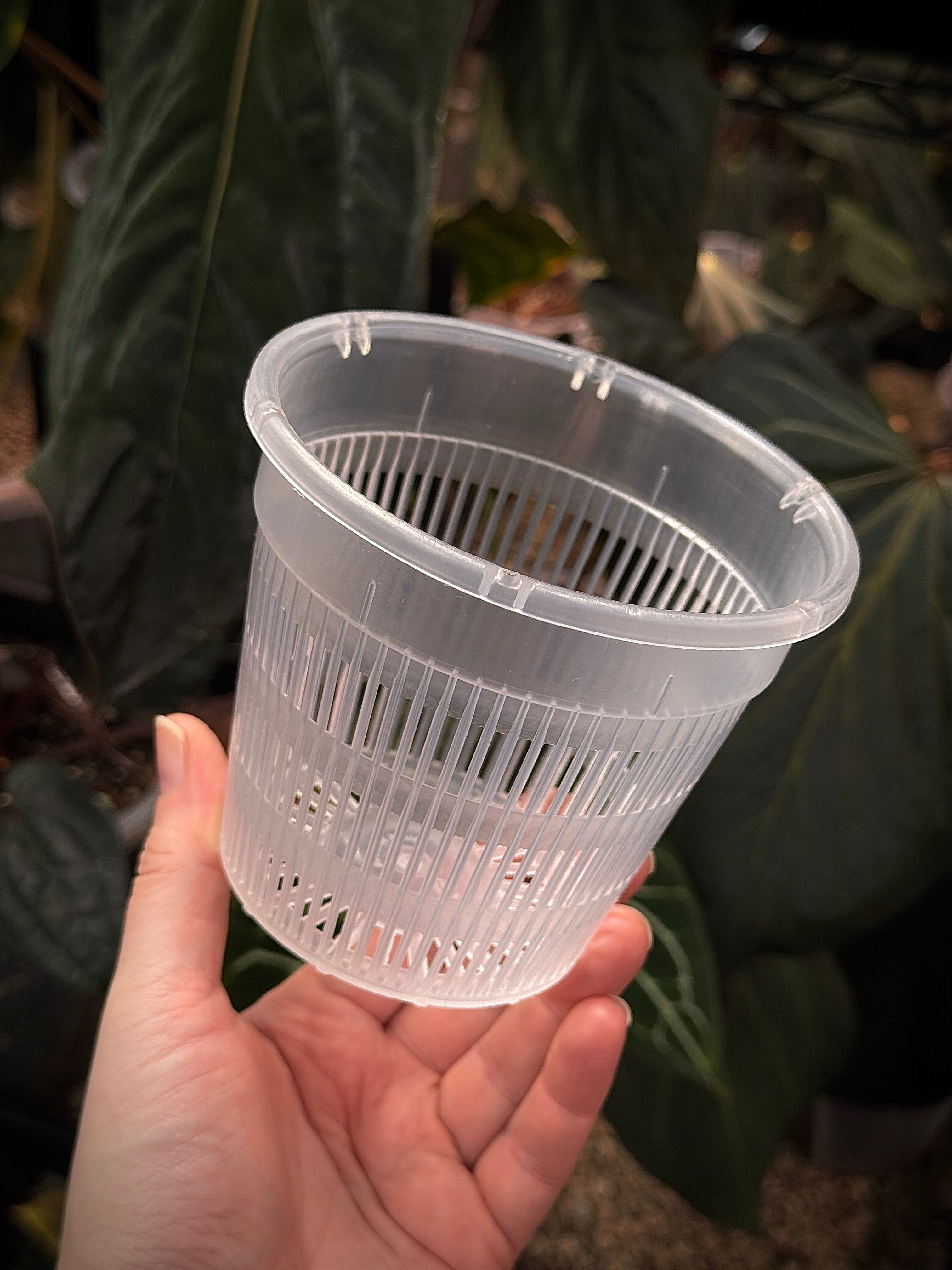 Hydroponic Mesh Pots