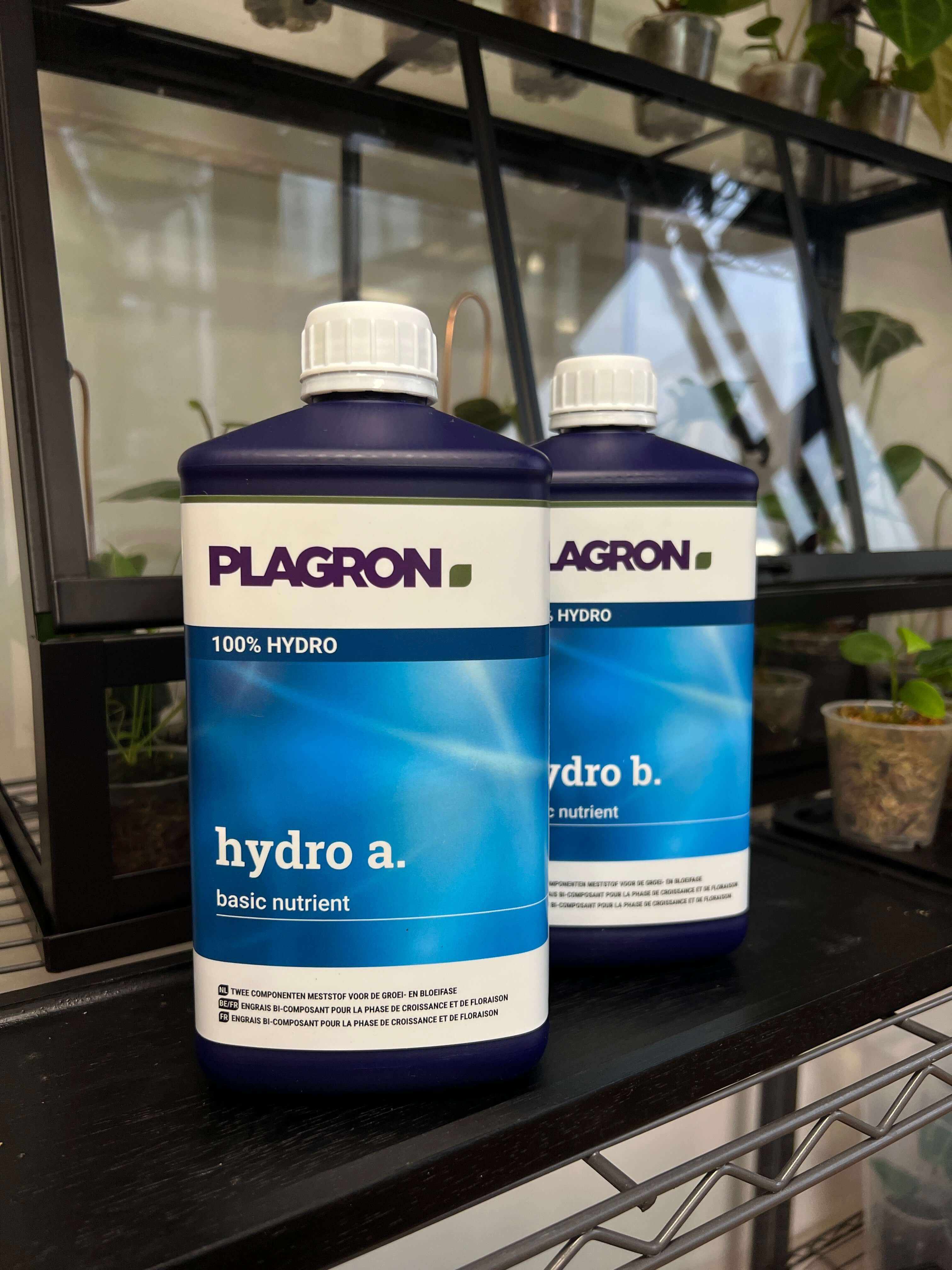 Plagron Hydro A+B - SMUKHI
