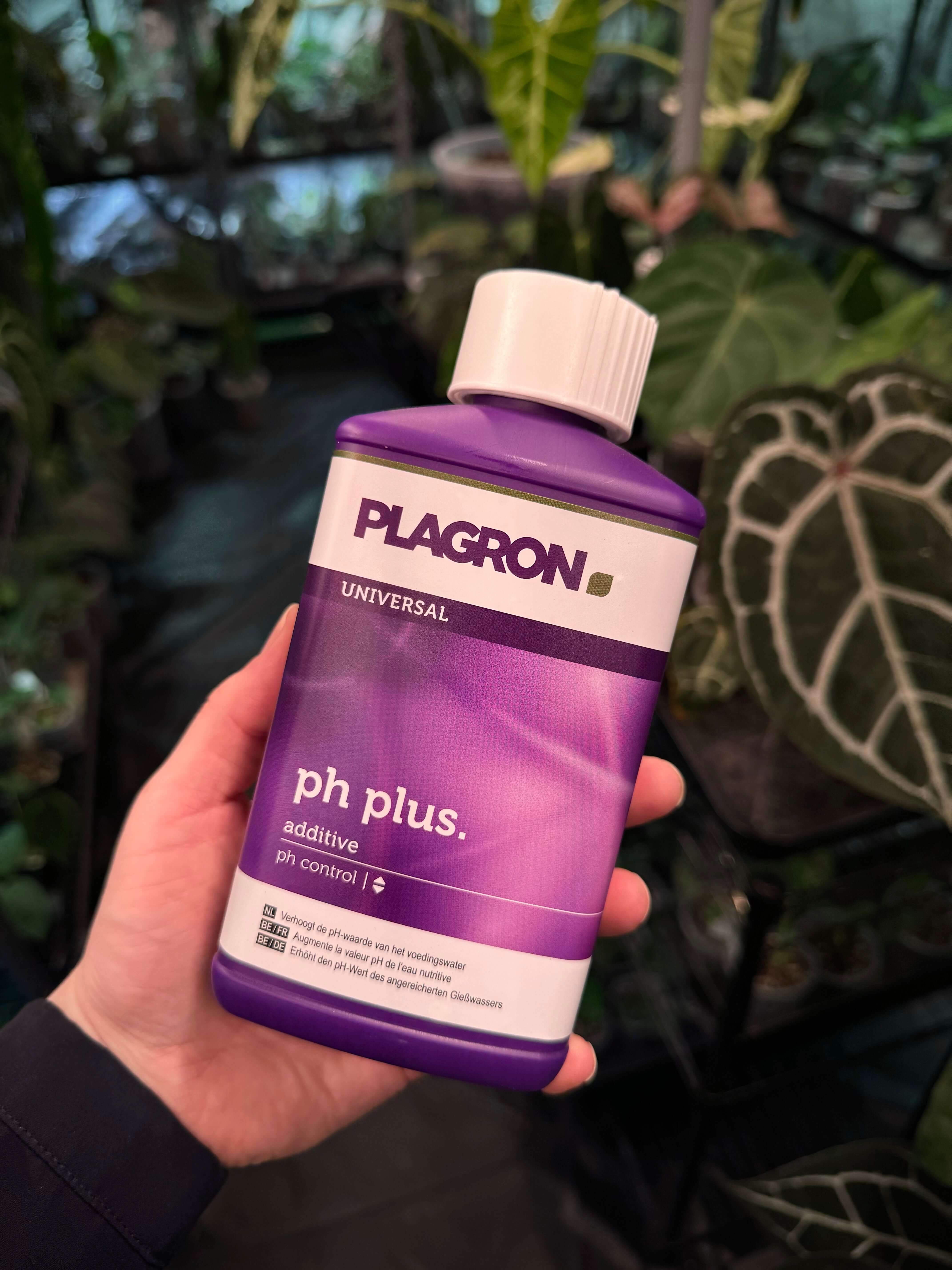 Plagron pH Plus - pH Regulator - SMUKHI