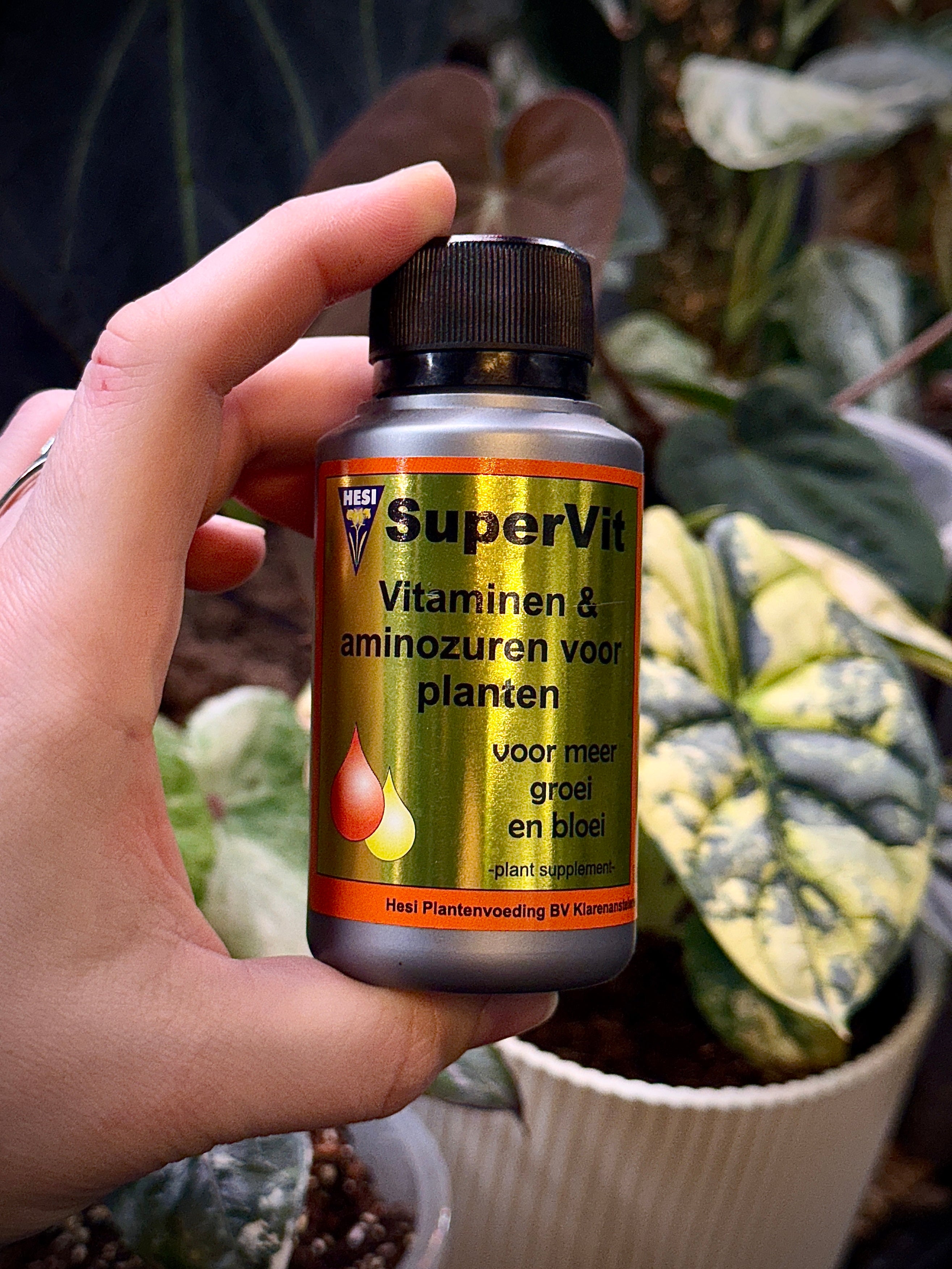 Hesi Supervit - Vitamins & Amino Acids